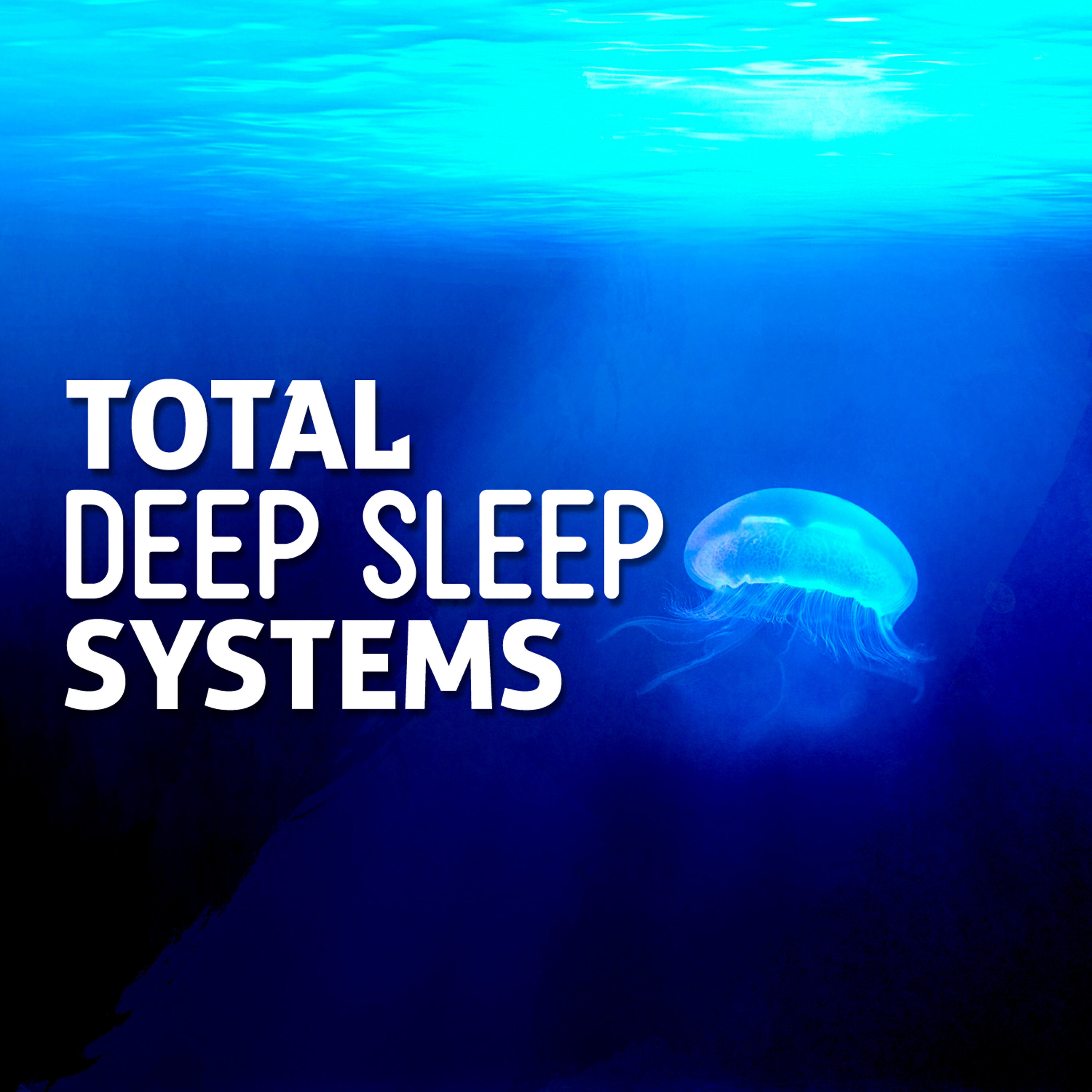 Релиз Total Deep Sleep Systems