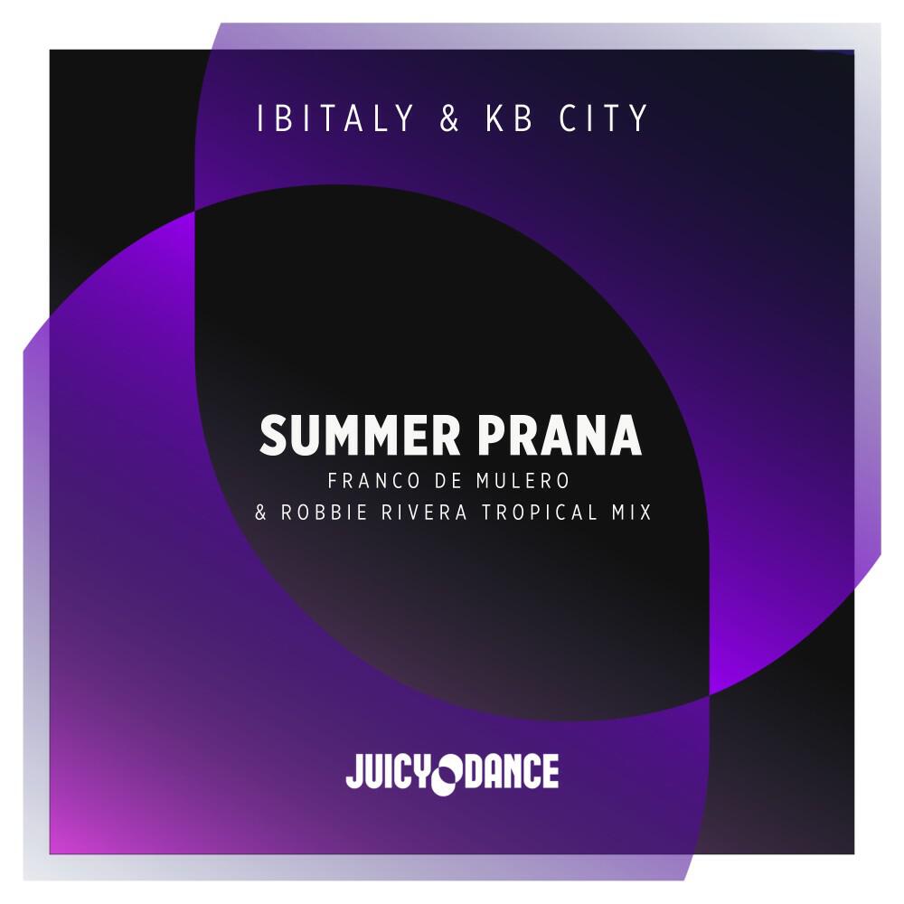 Релиз Summer Prana (Franco De Mulero & Robbie Rivera Tropical Mix)