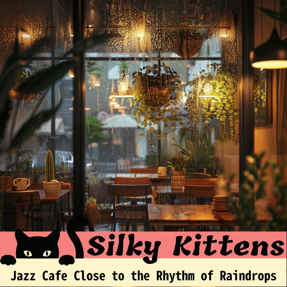 Silky Kittens