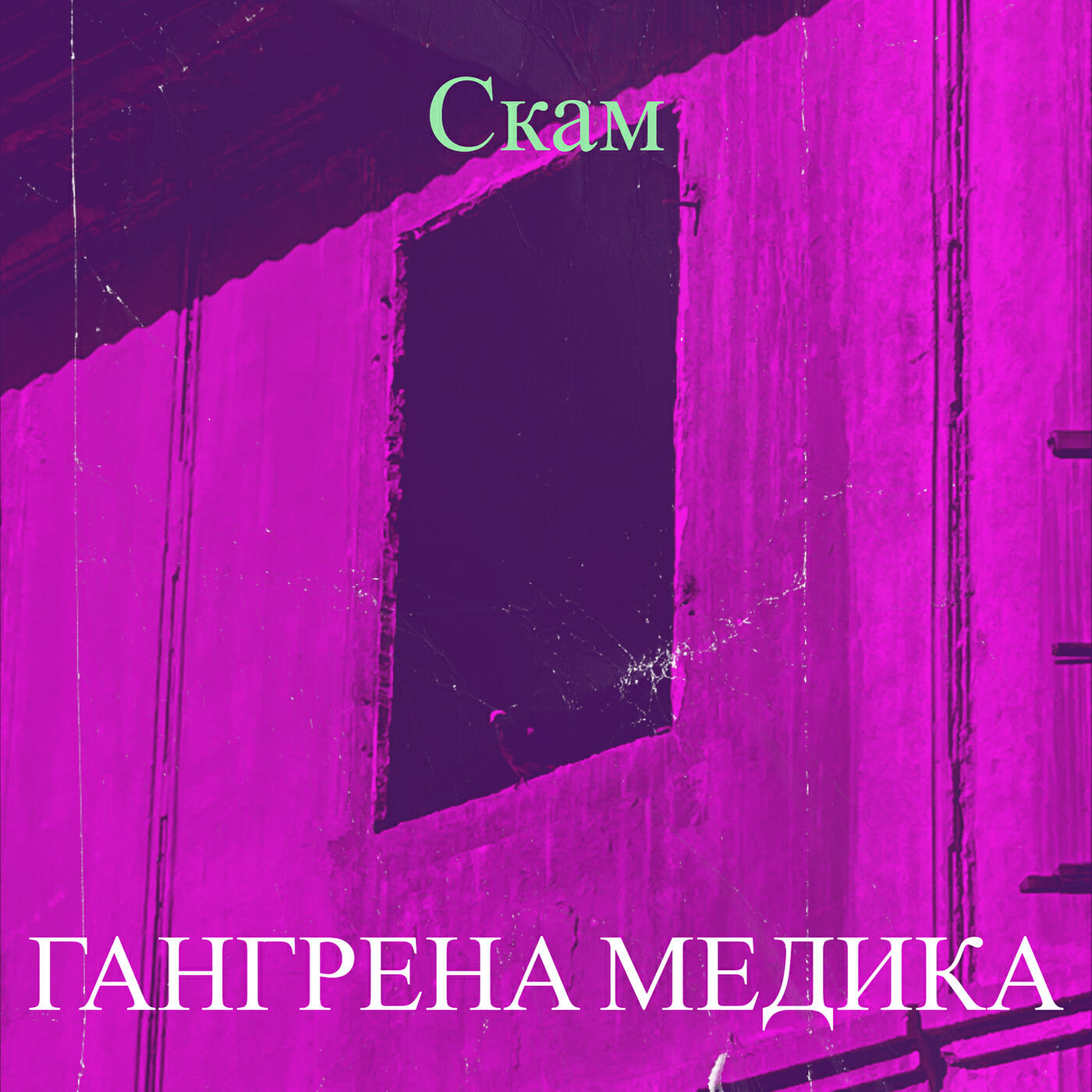 Релиз Скам