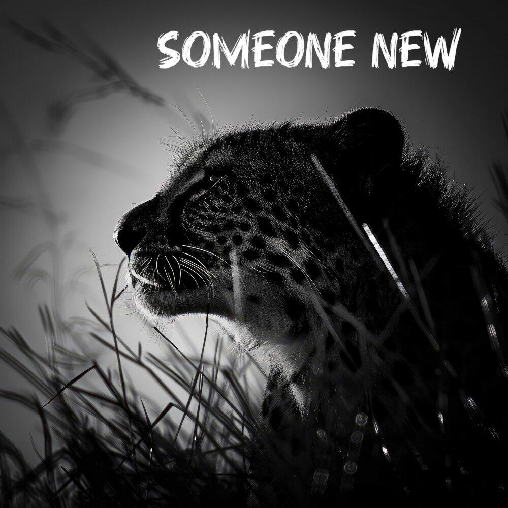 Релиз Someone New