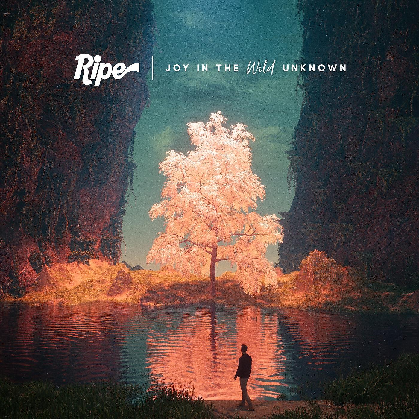 Релиз Joy in the Wild Unknown