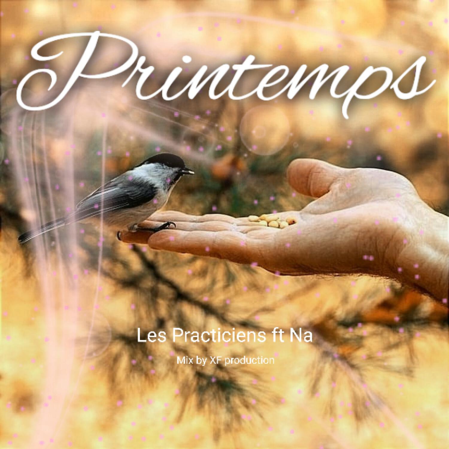 Релиз Printemps