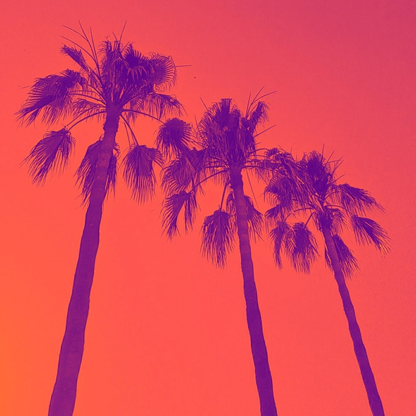 Релиз Purple Sun