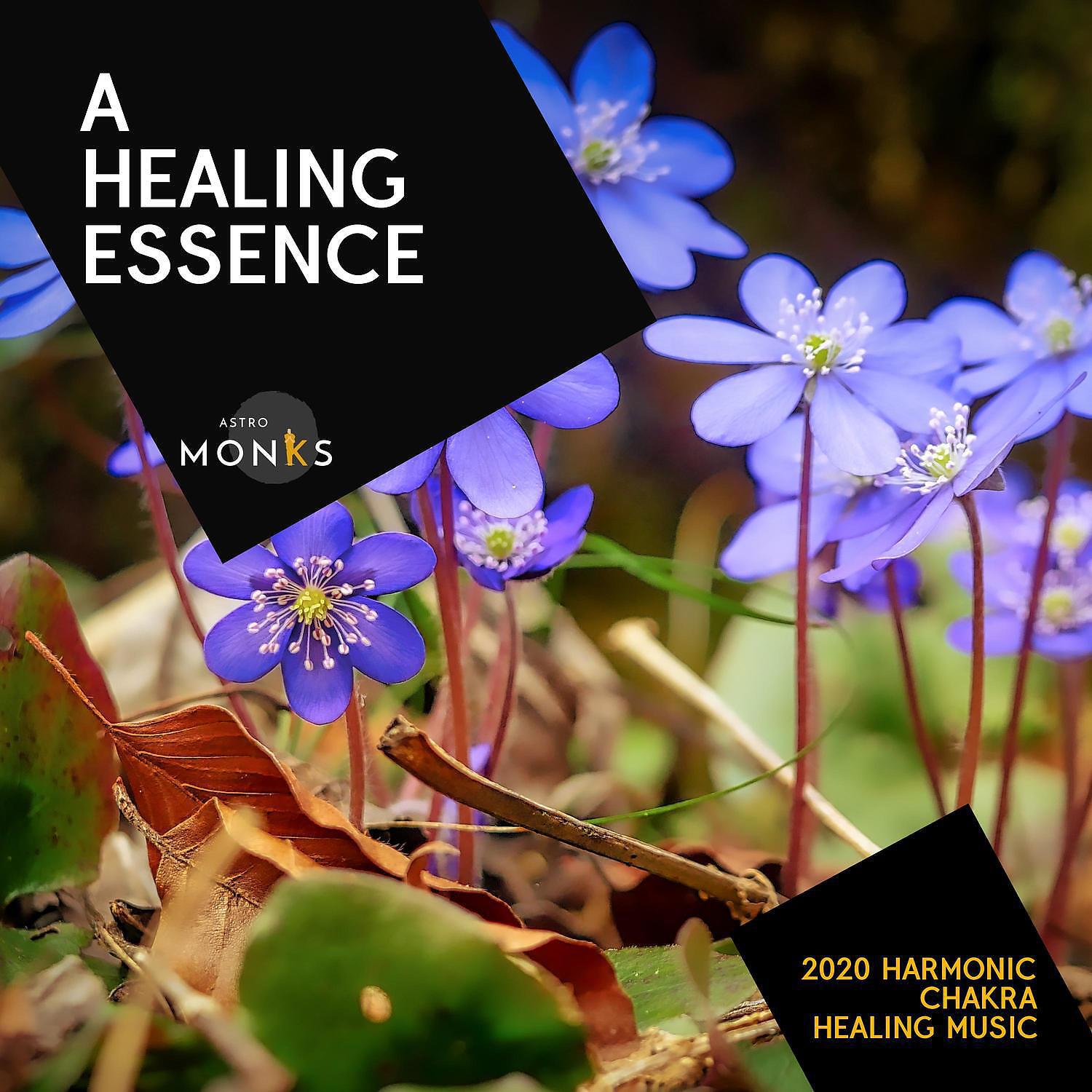 Релиз A Healing Essence - 2020 Harmonic Chakra Healing Music