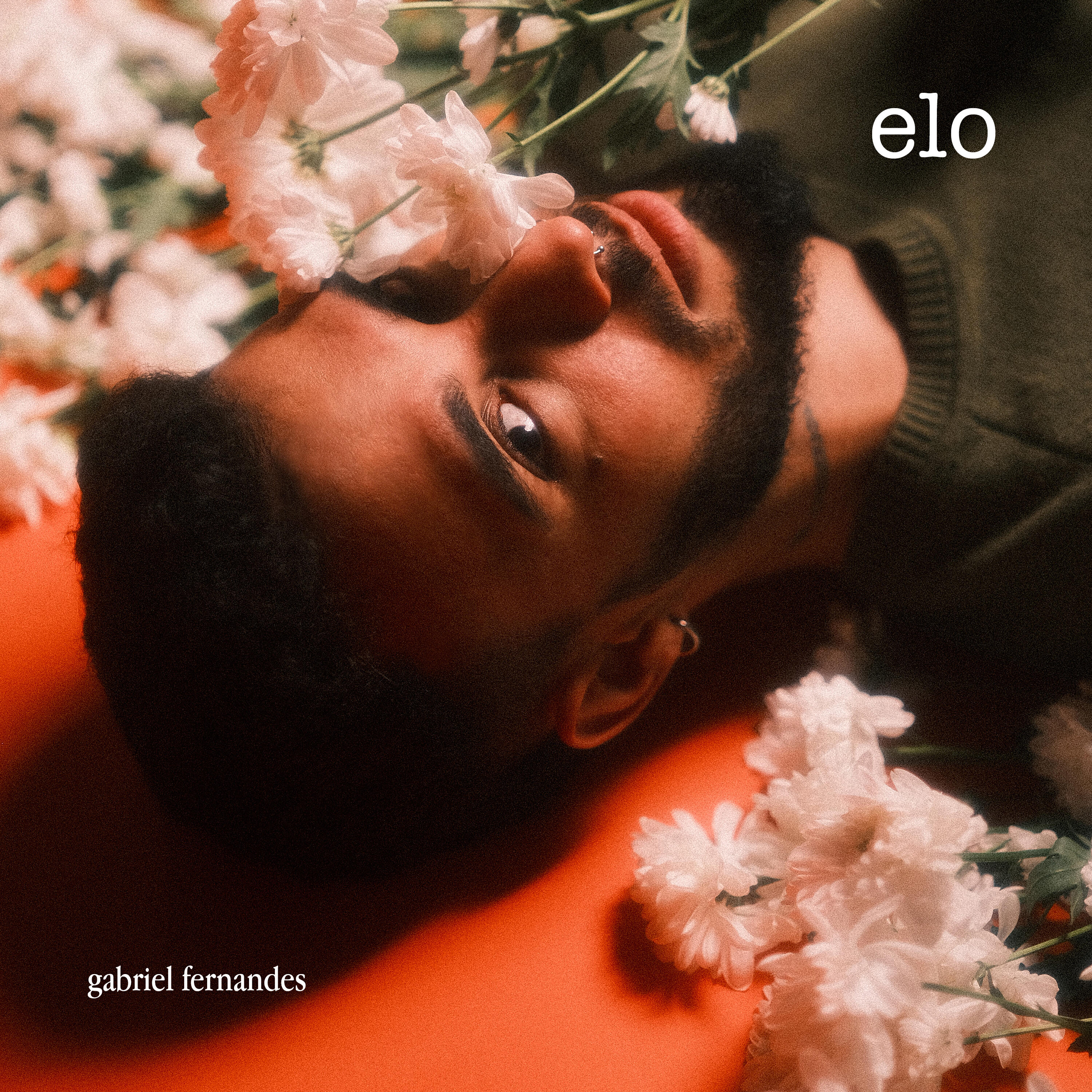 Релиз Elo