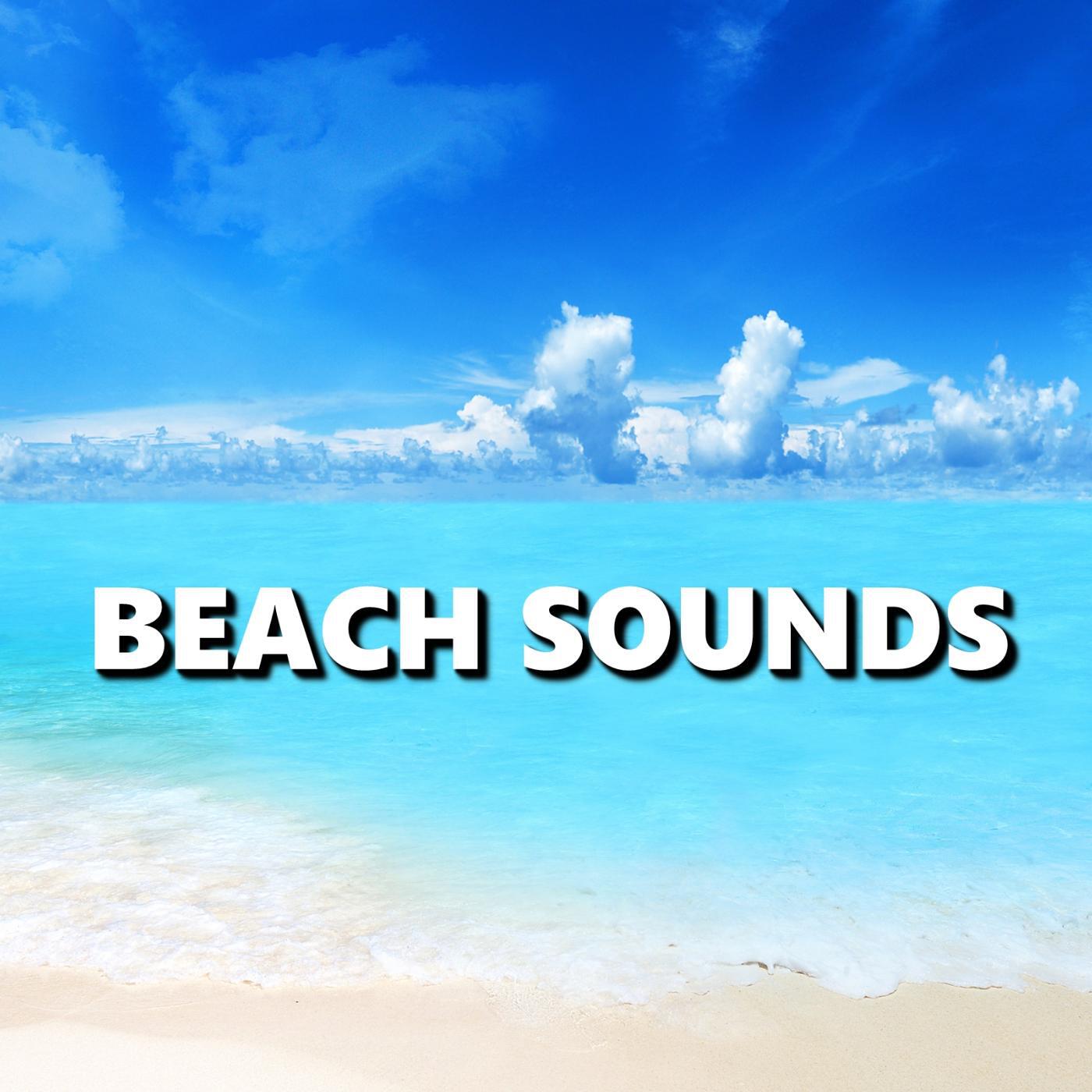Постер альбома Beach Sounds
