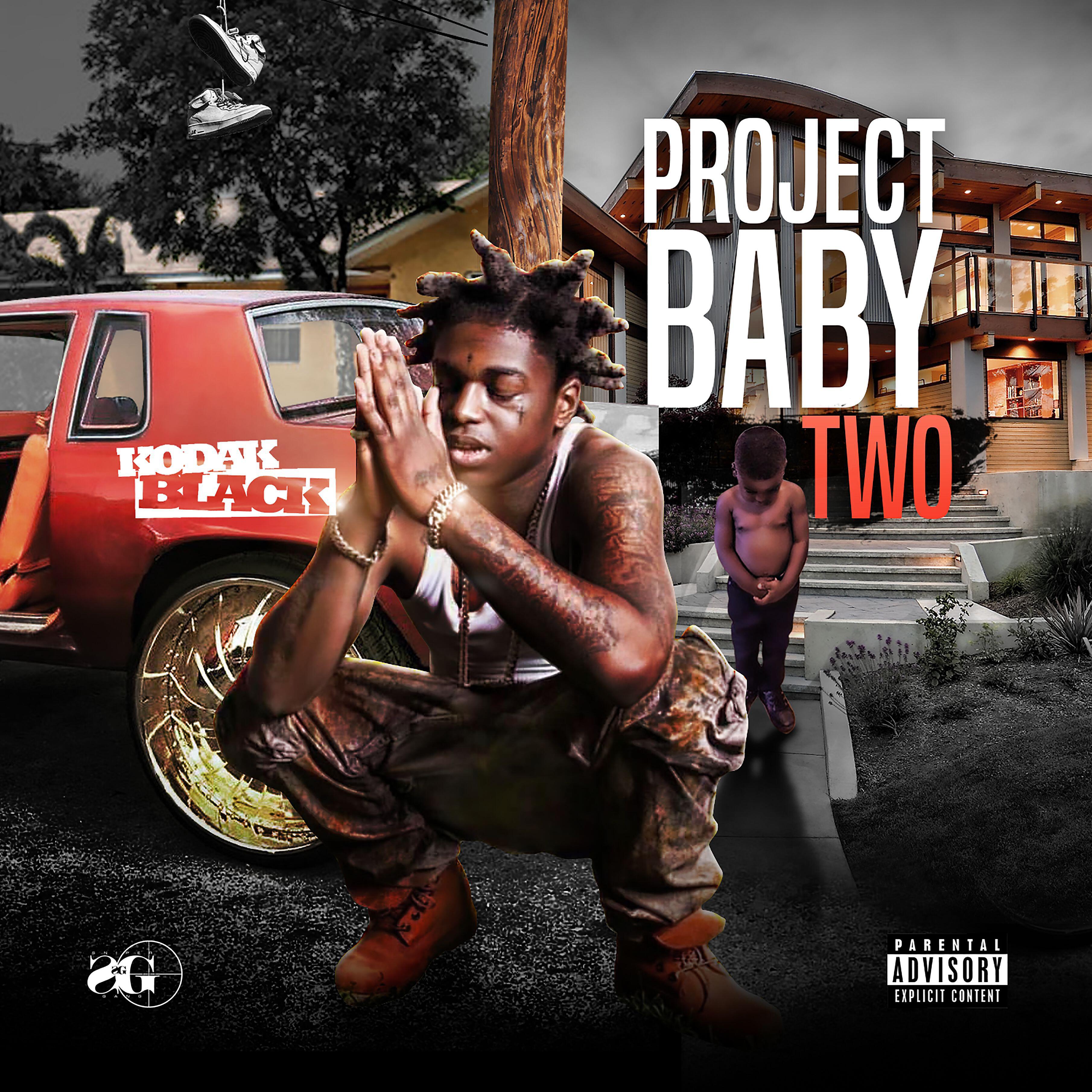 Постер альбома Project Baby 2: All Grown Up