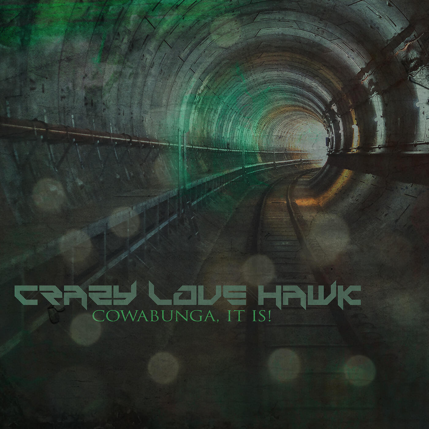 Релиз Cowabunga, It Is!