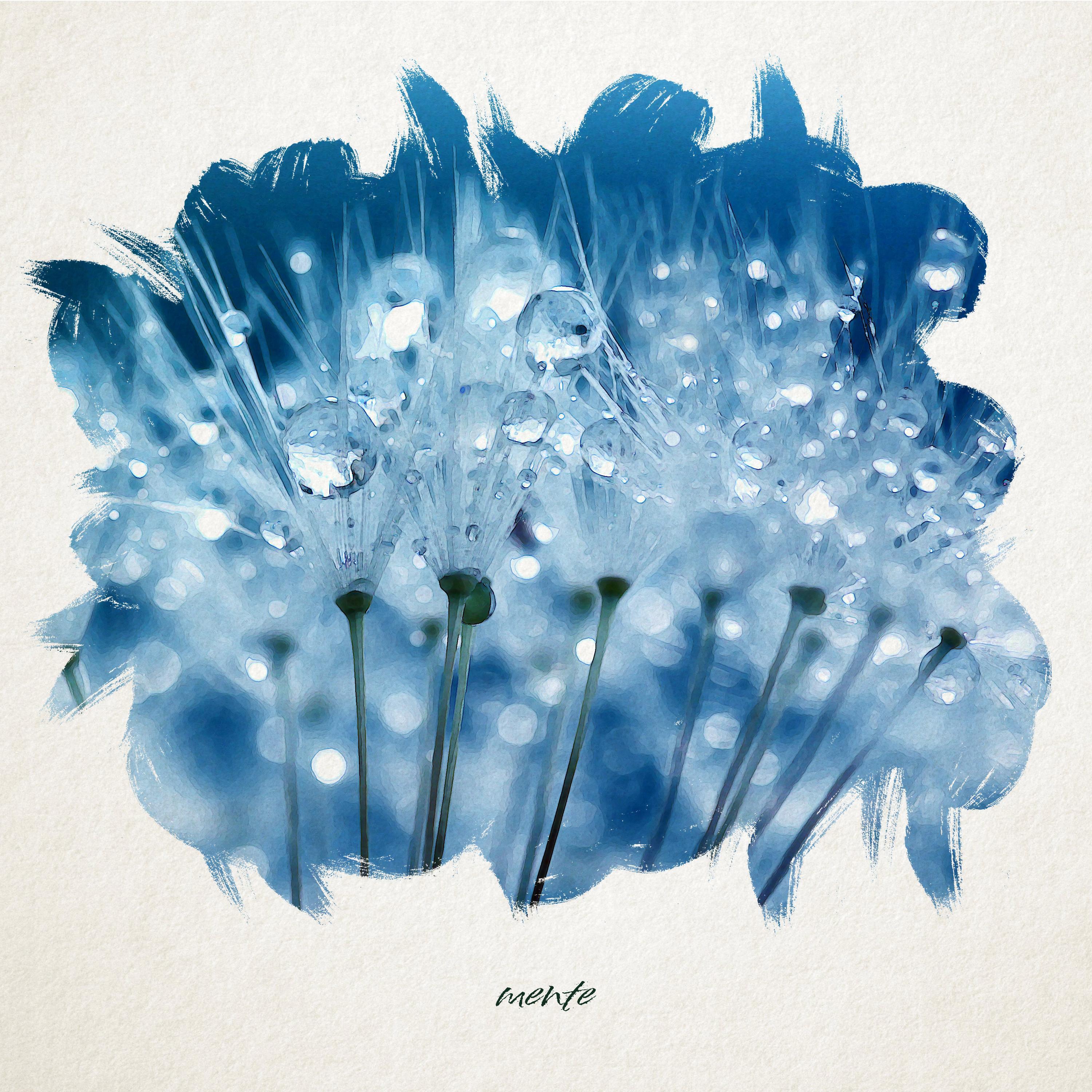 Релиз mente