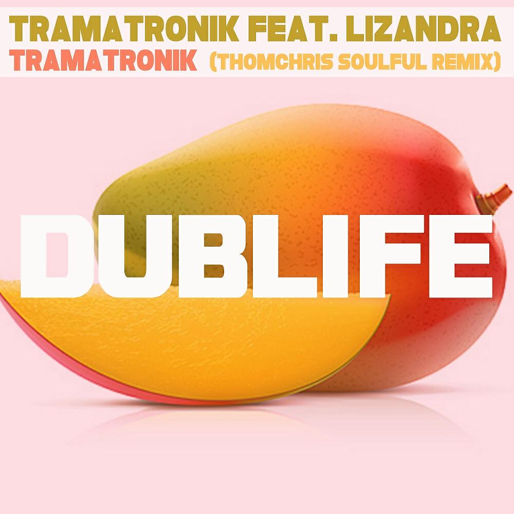Релиз Tramatronik (ThomChris Remixes)
