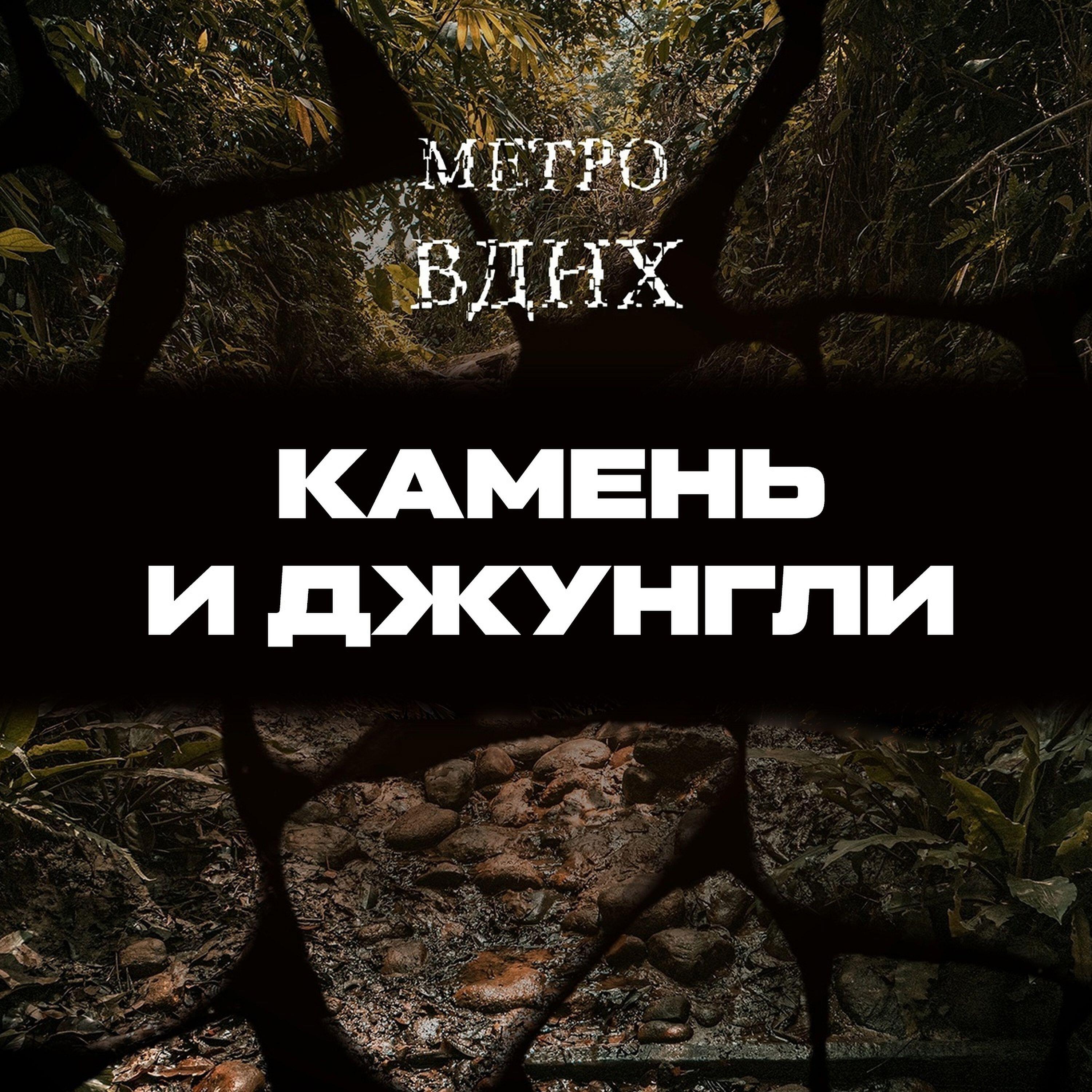 Релиз Камень и джунгли