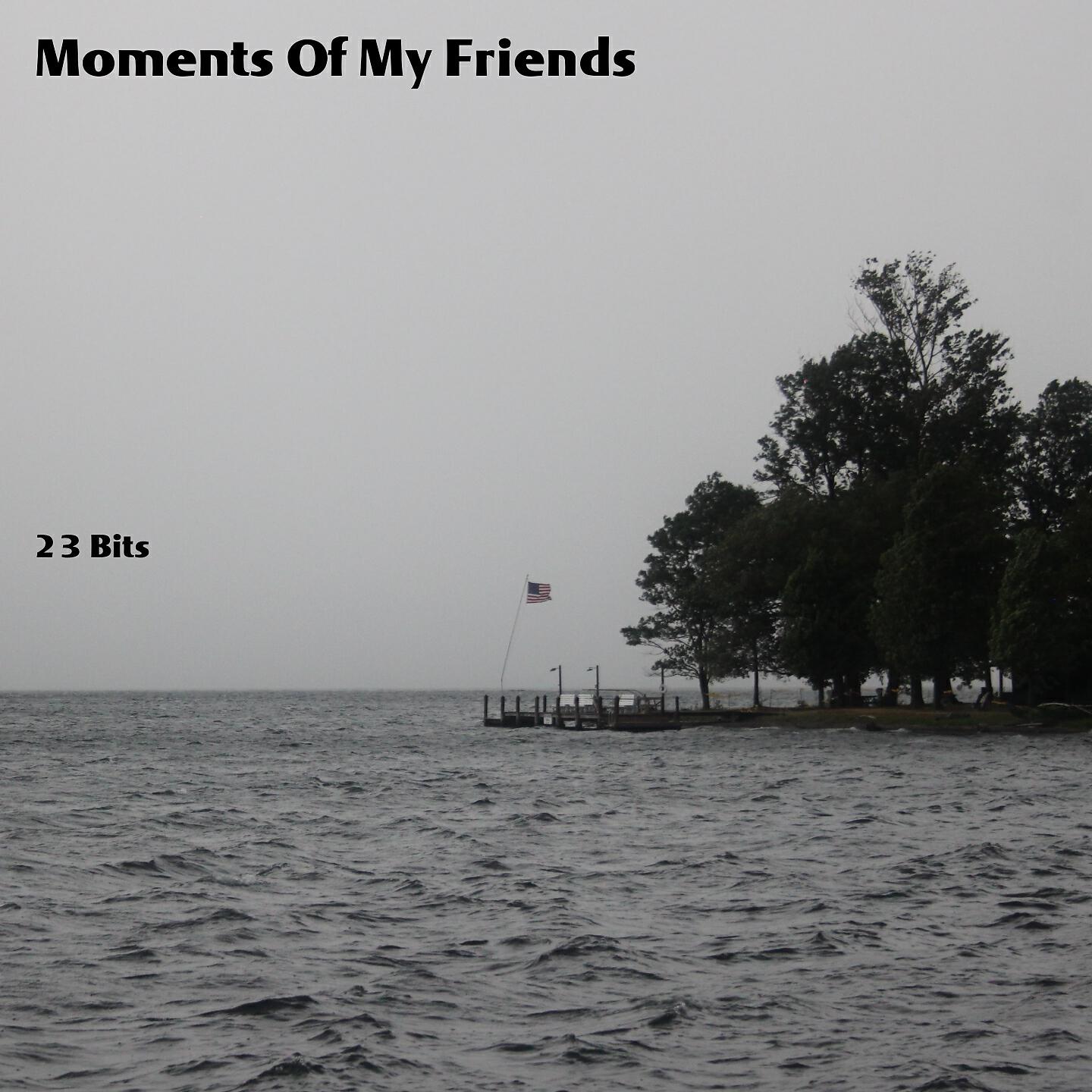 Релиз Moments Of My Friends