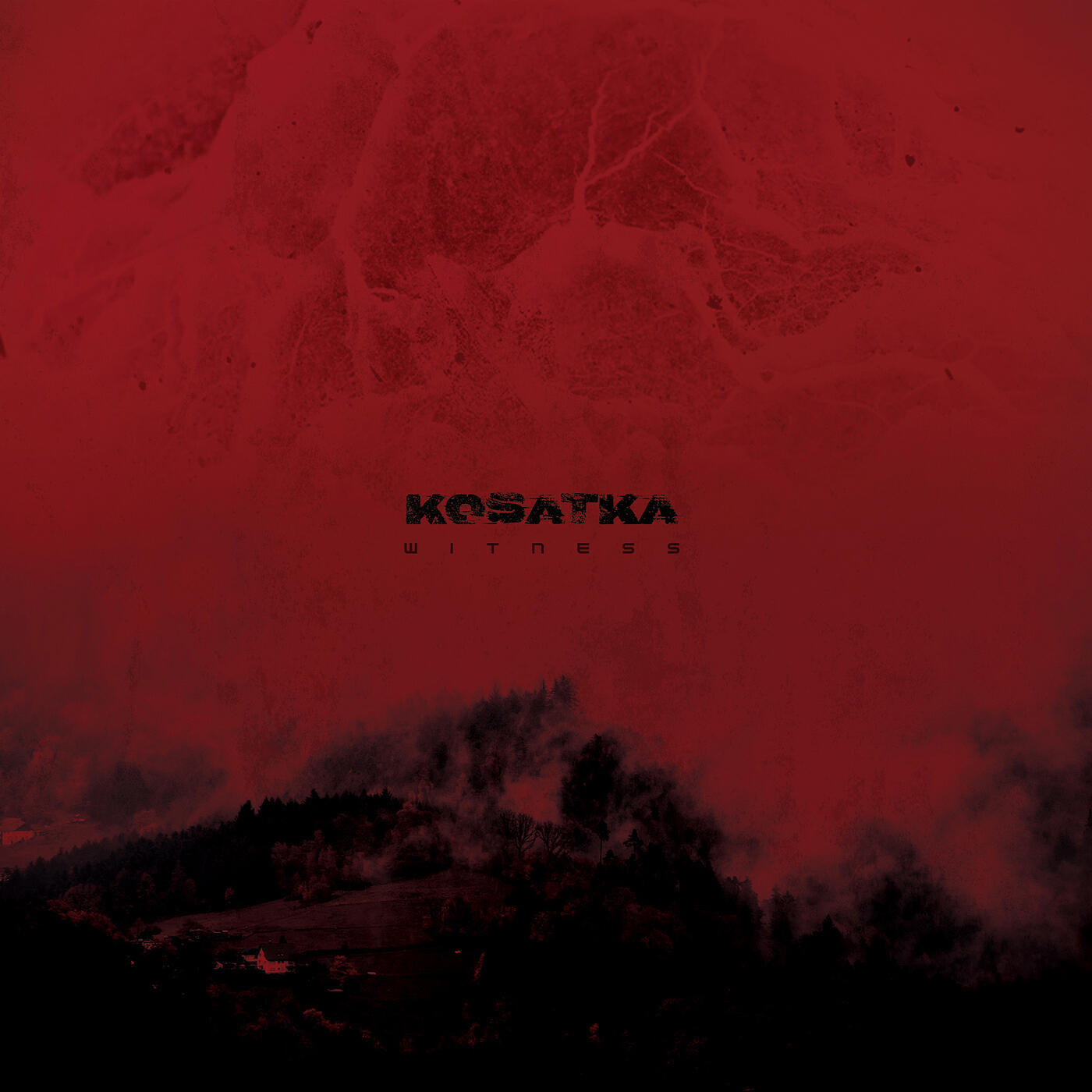Kosatka