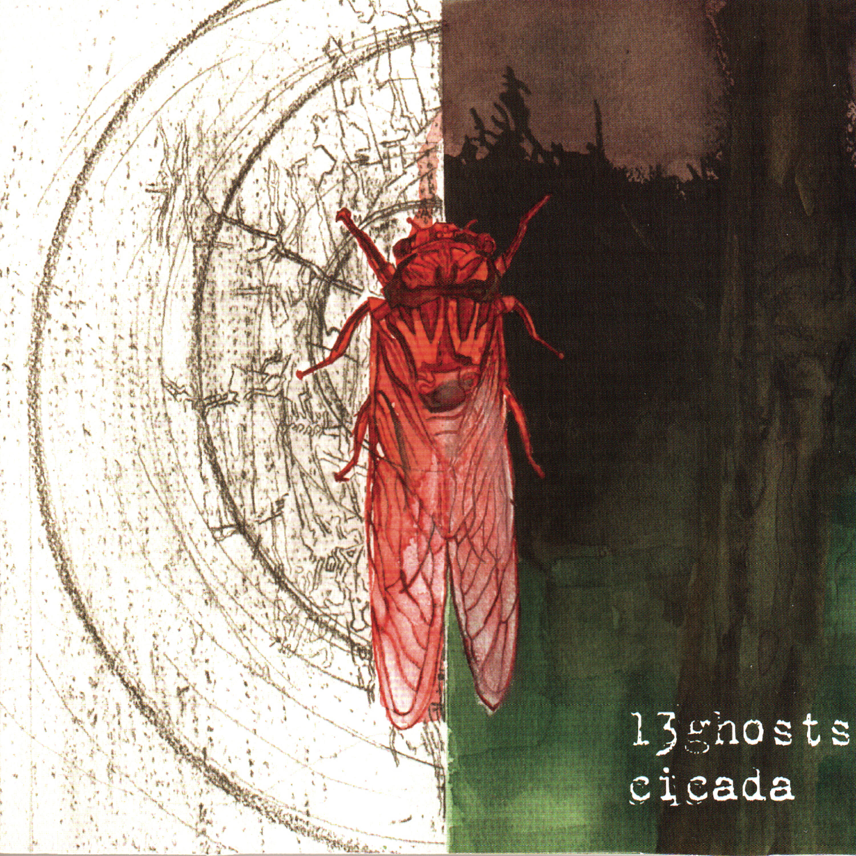 Релиз Cicada