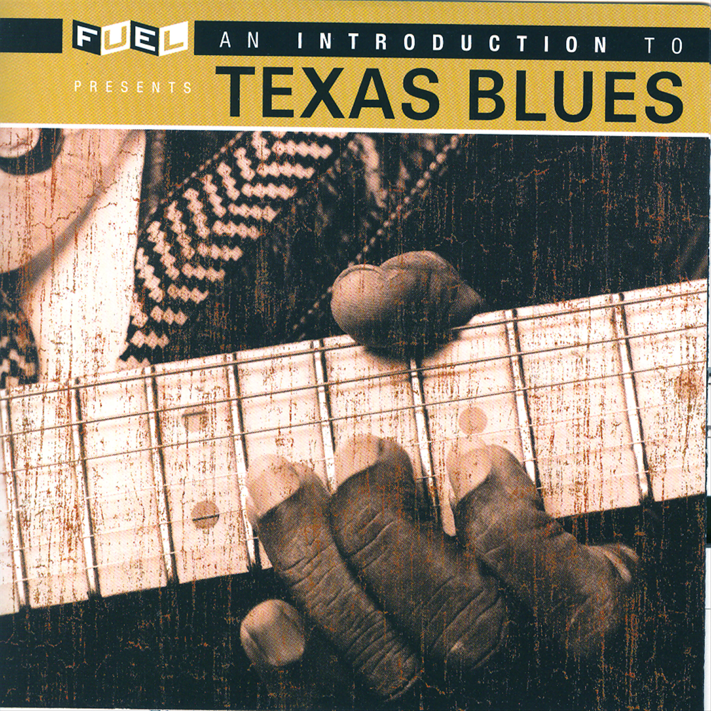 Релиз An Introduction To Texas Blues