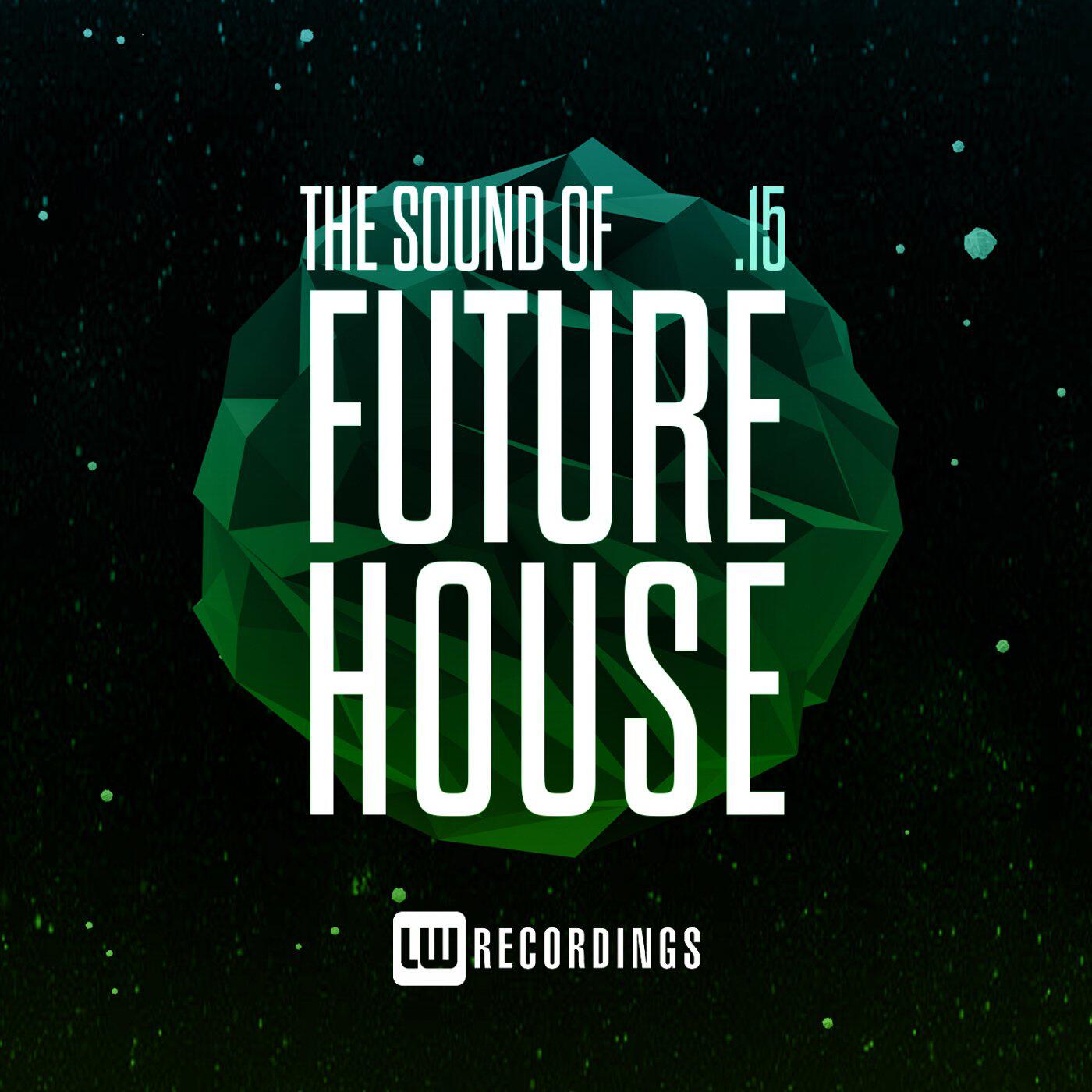 Релиз The Sound Of Future House, Vol. 15