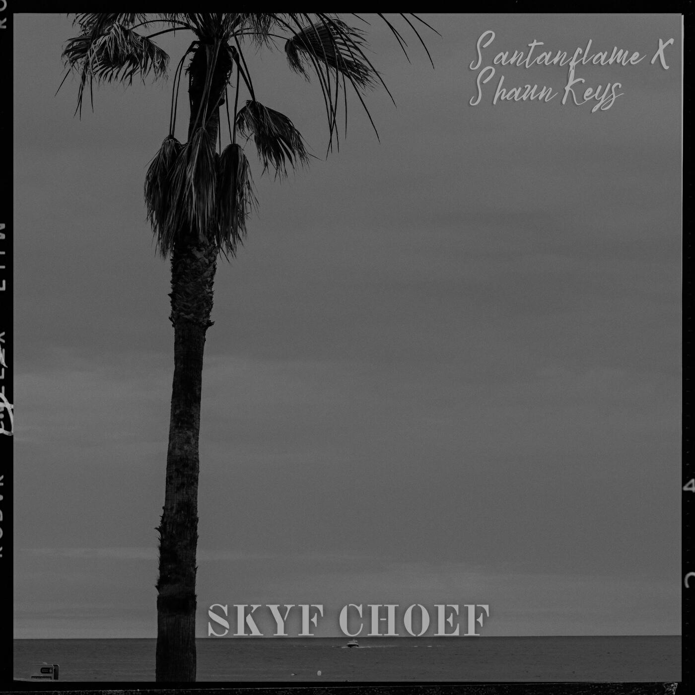 Релиз Skyf Choef