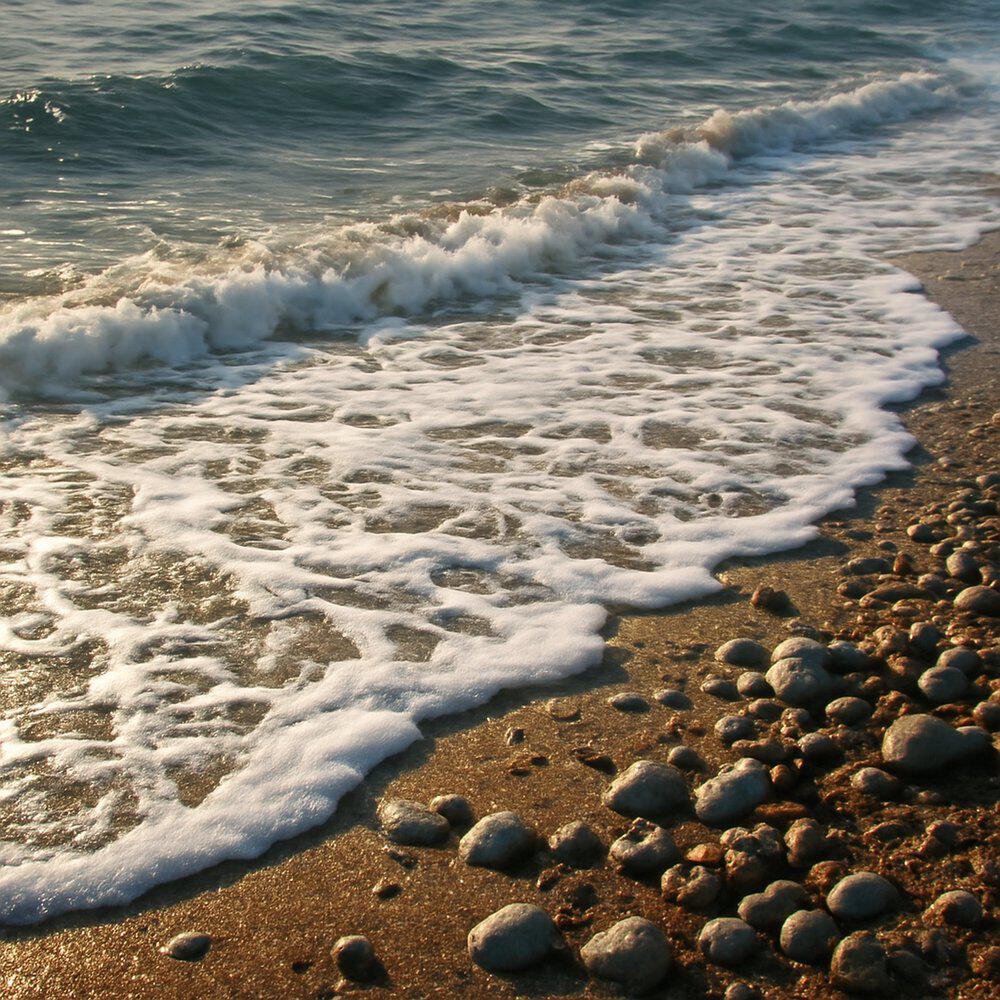 Релиз Ocean Sounds 2026