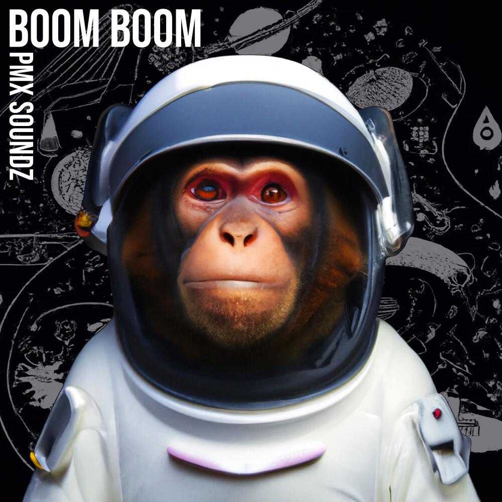 Постер альбома Boom Boom