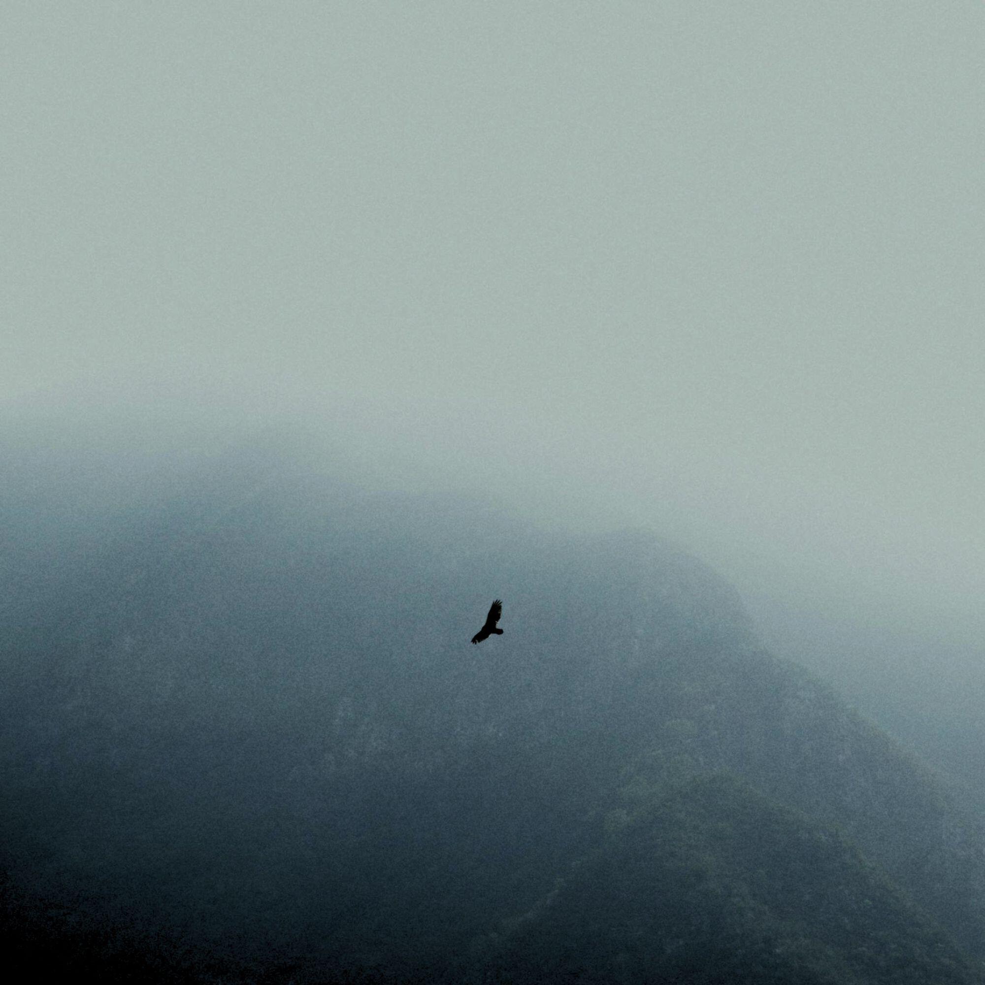 Релиз Weightless