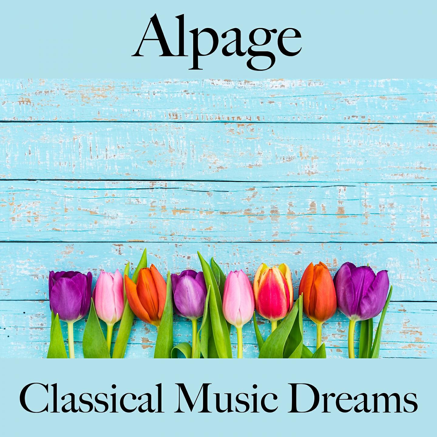 Релиз Alpage: Classical Music Dreams - La Meilleure Musique Pour Se Détendre