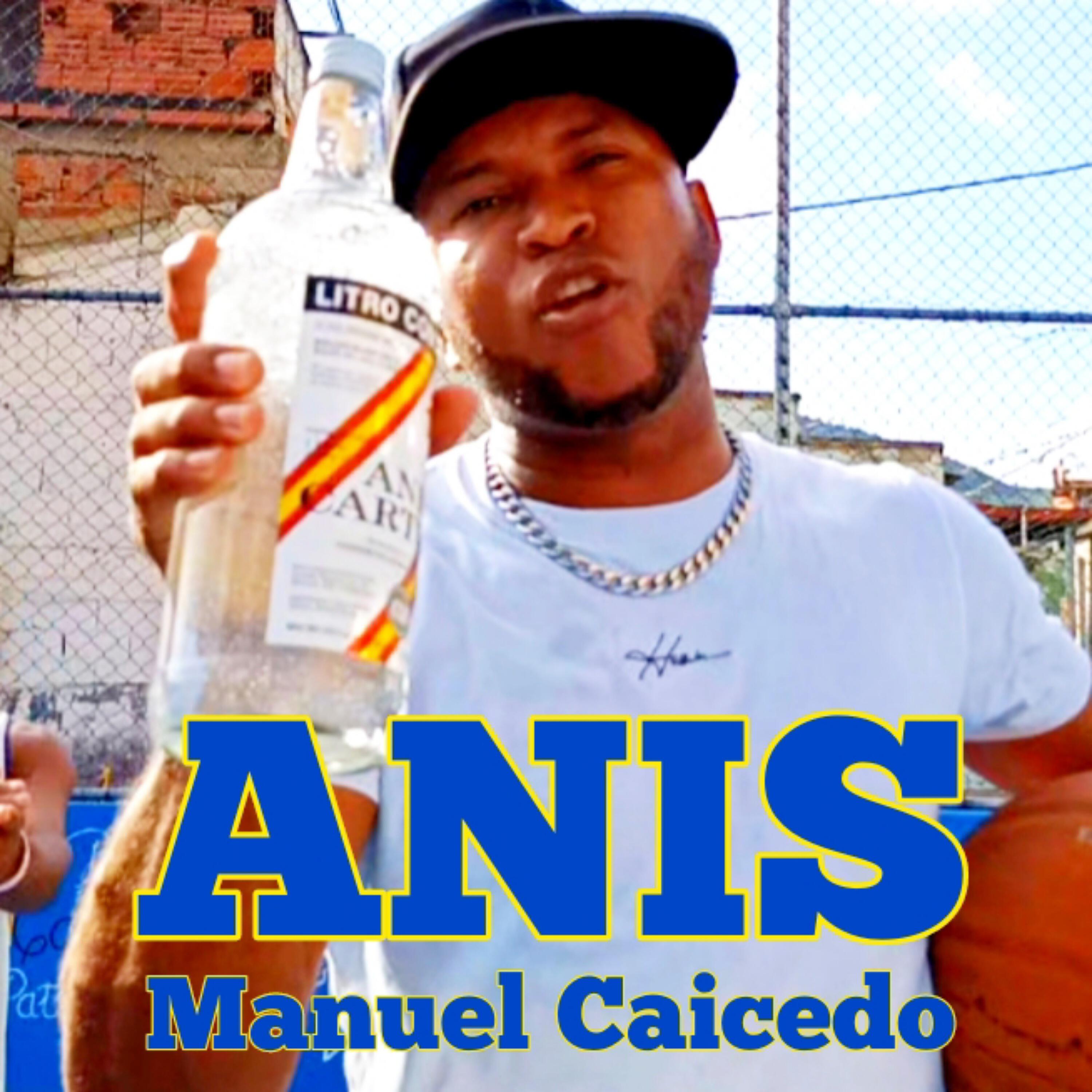 Релиз Anis