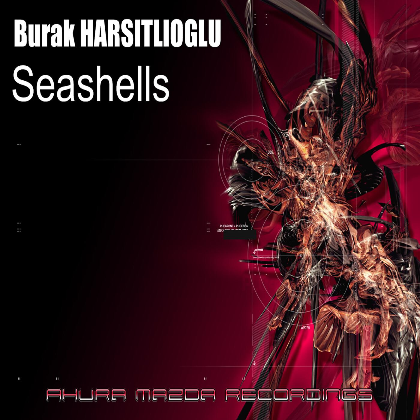 Релиз Seashells