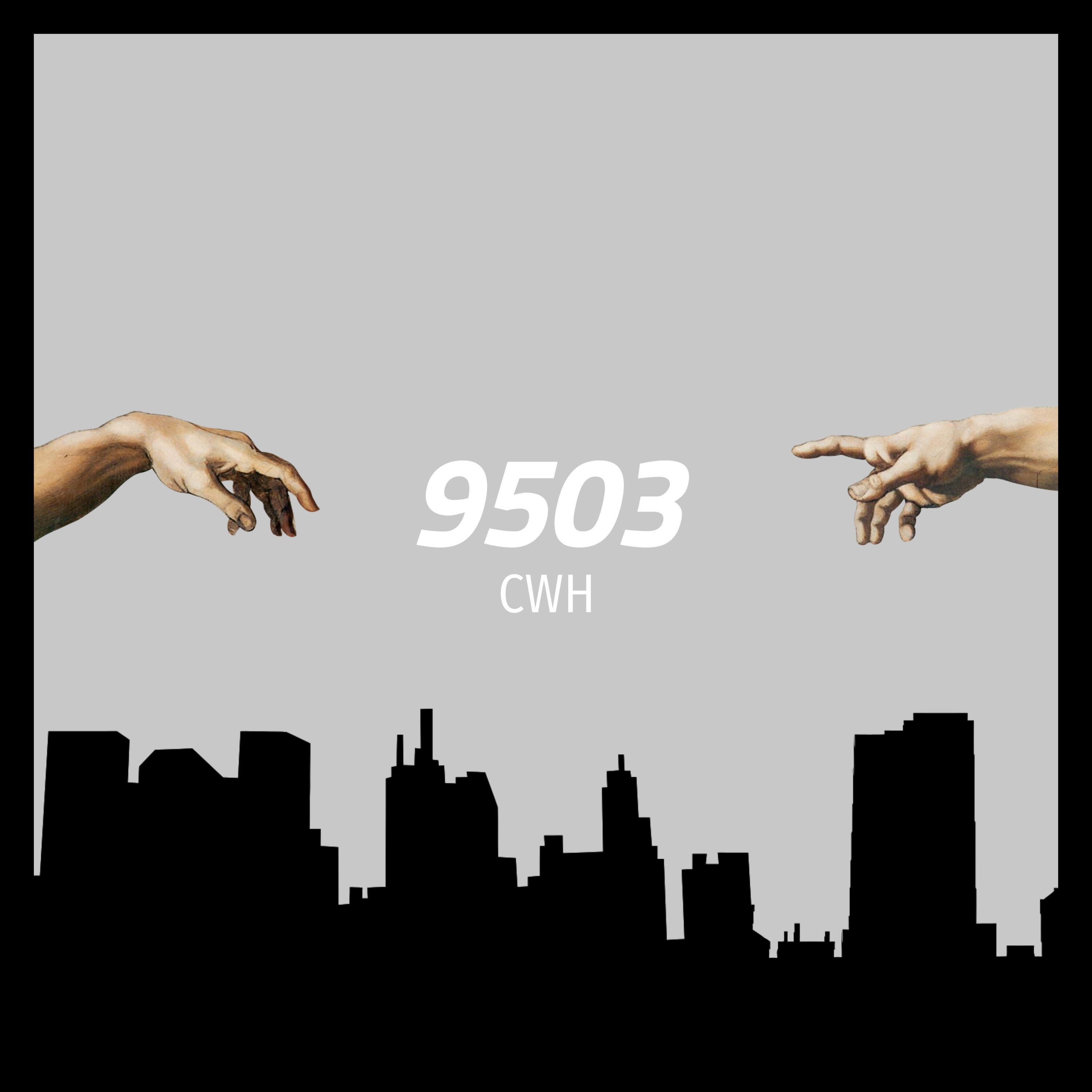 Постер альбома 9503