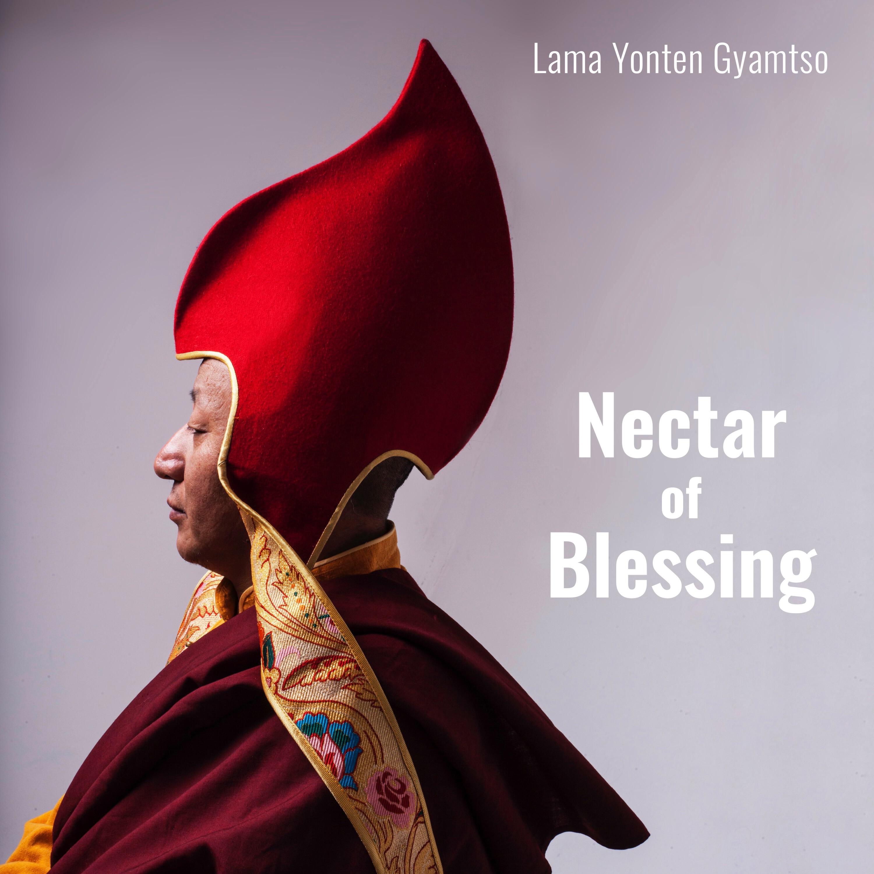 Релиз Nectar of Blessing