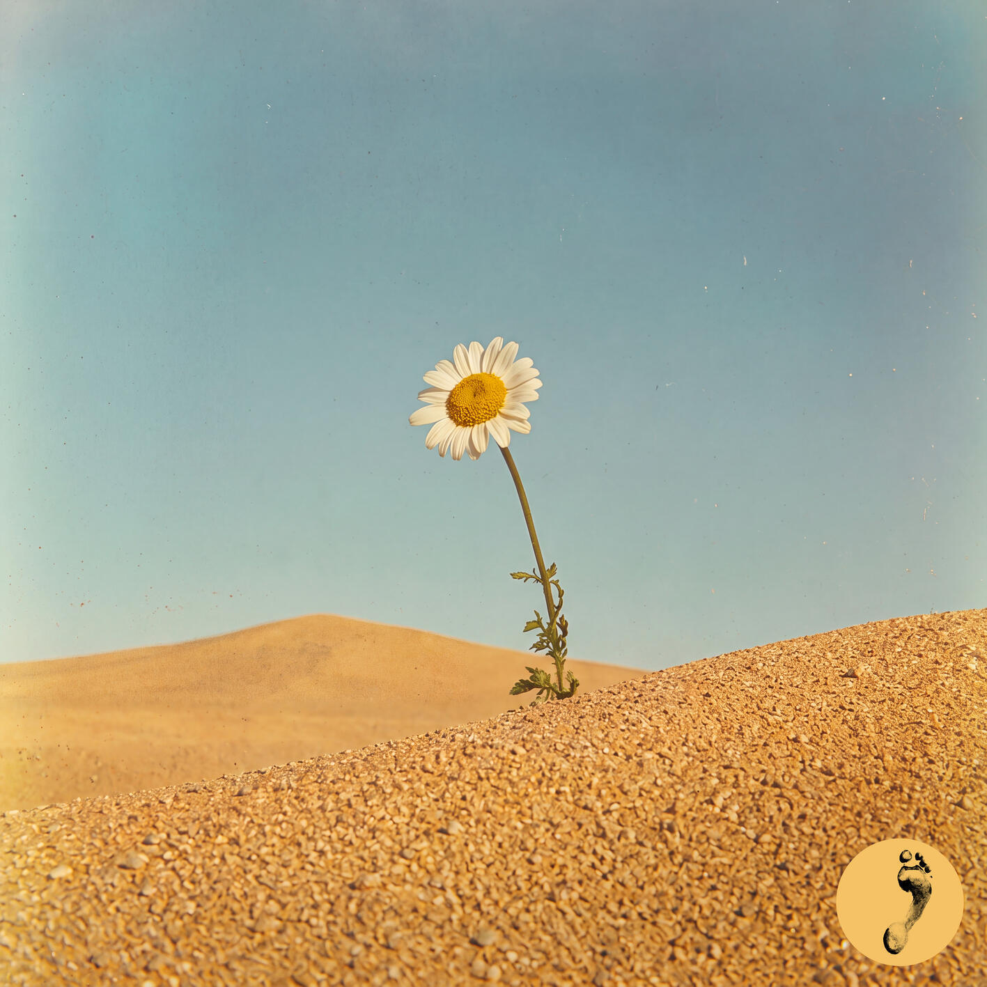 Релиз Some Kind Of High