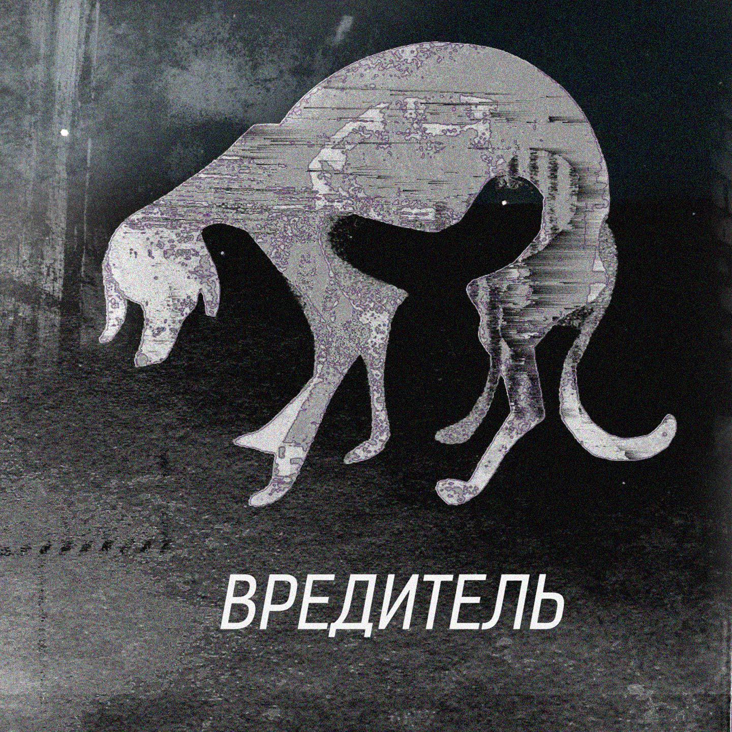 Релиз Осиный район