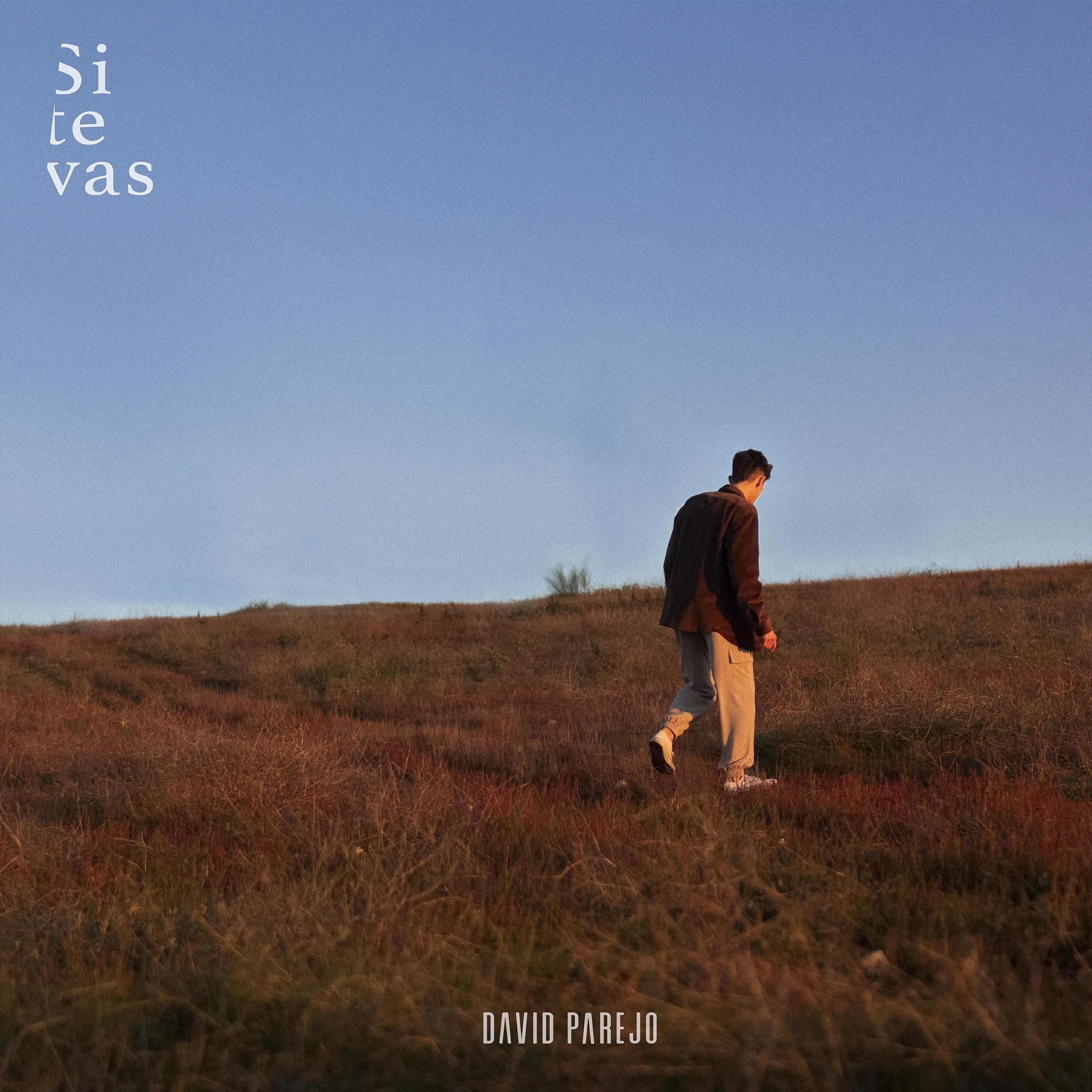 Релиз Si te vas