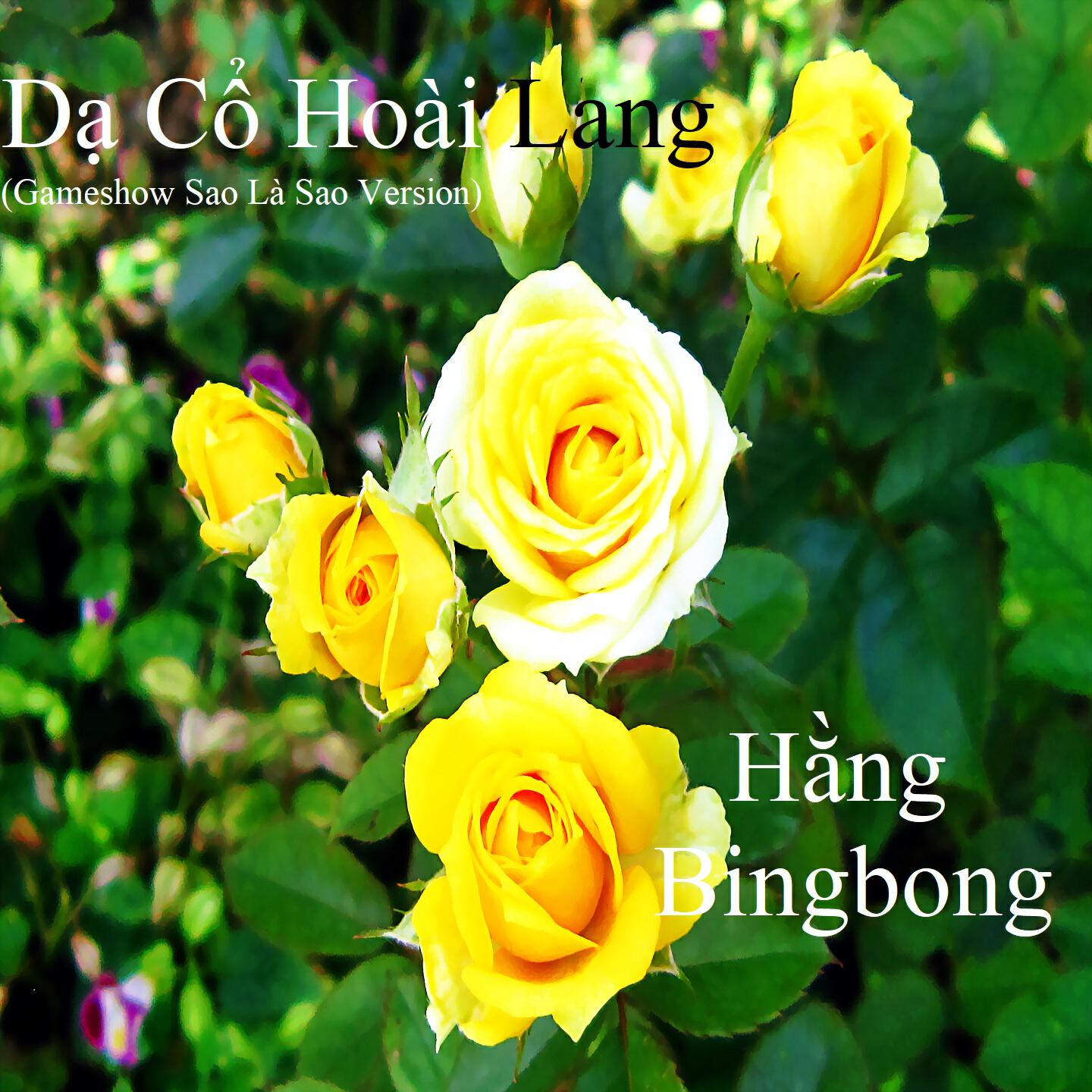 Hằng Bingbong