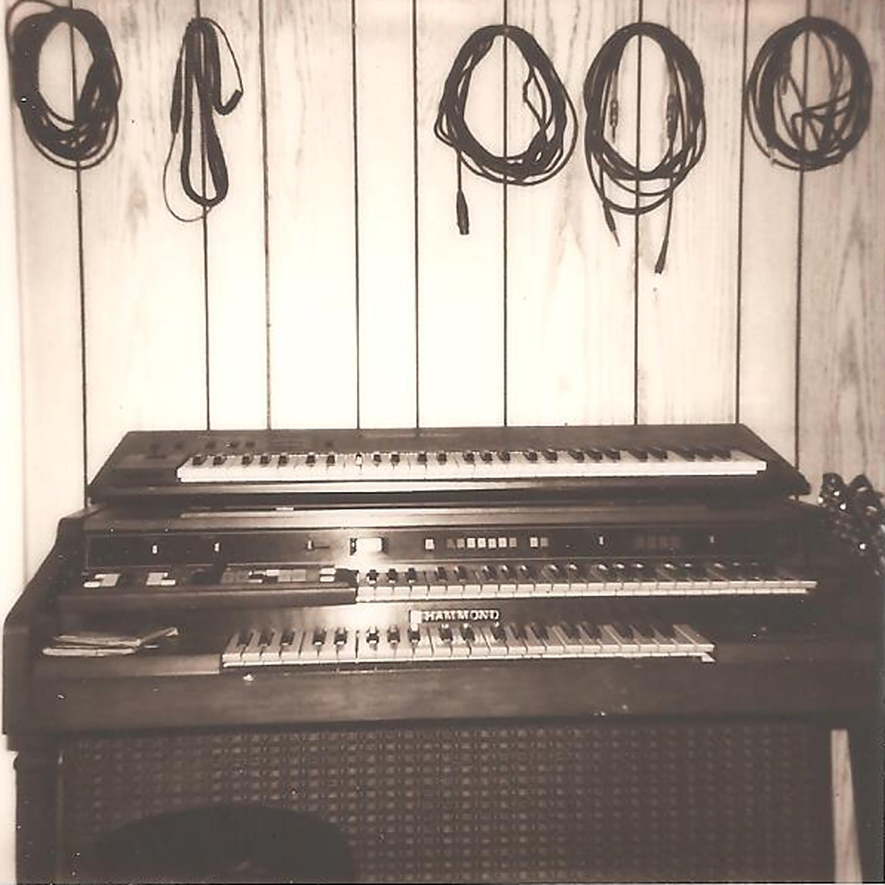 Релиз Cut Flowers (Single Version)