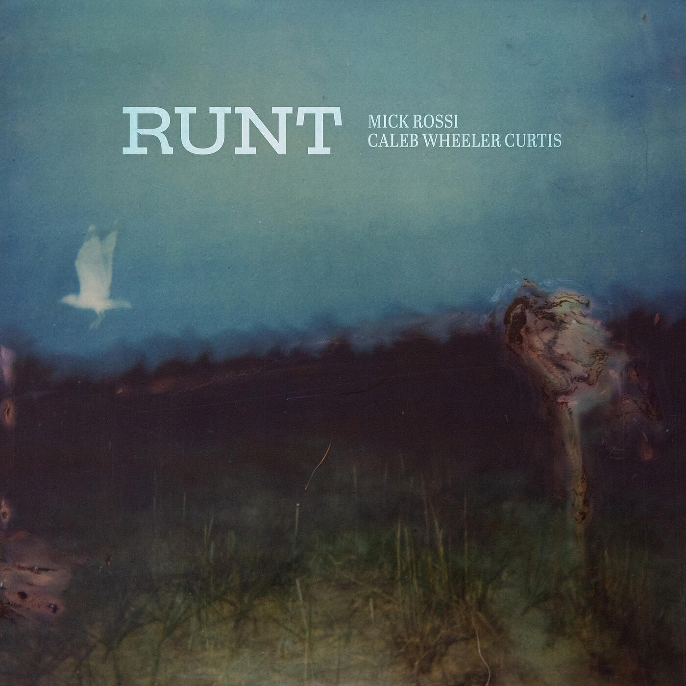 Релиз Runt