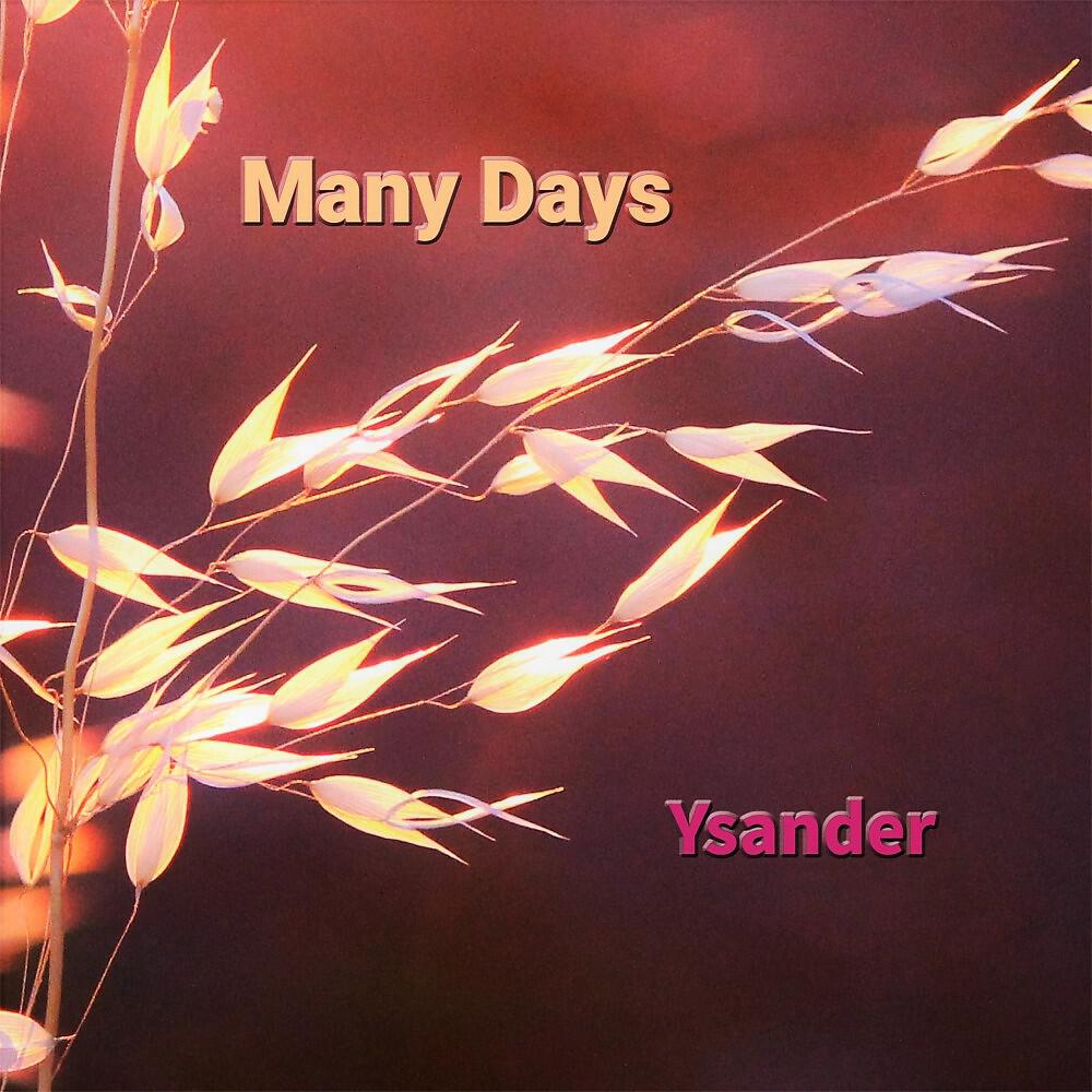 Релиз Many Days