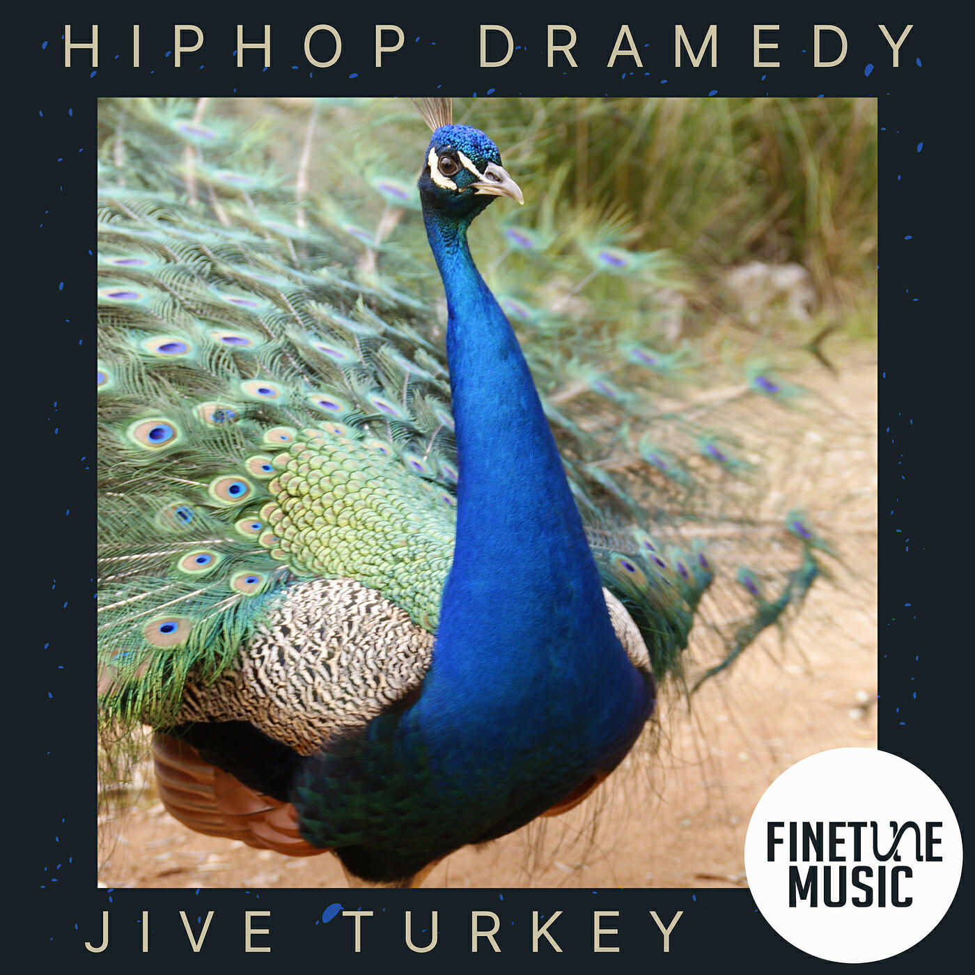 Релиз Hiphop Dramedy - Jive Turkey