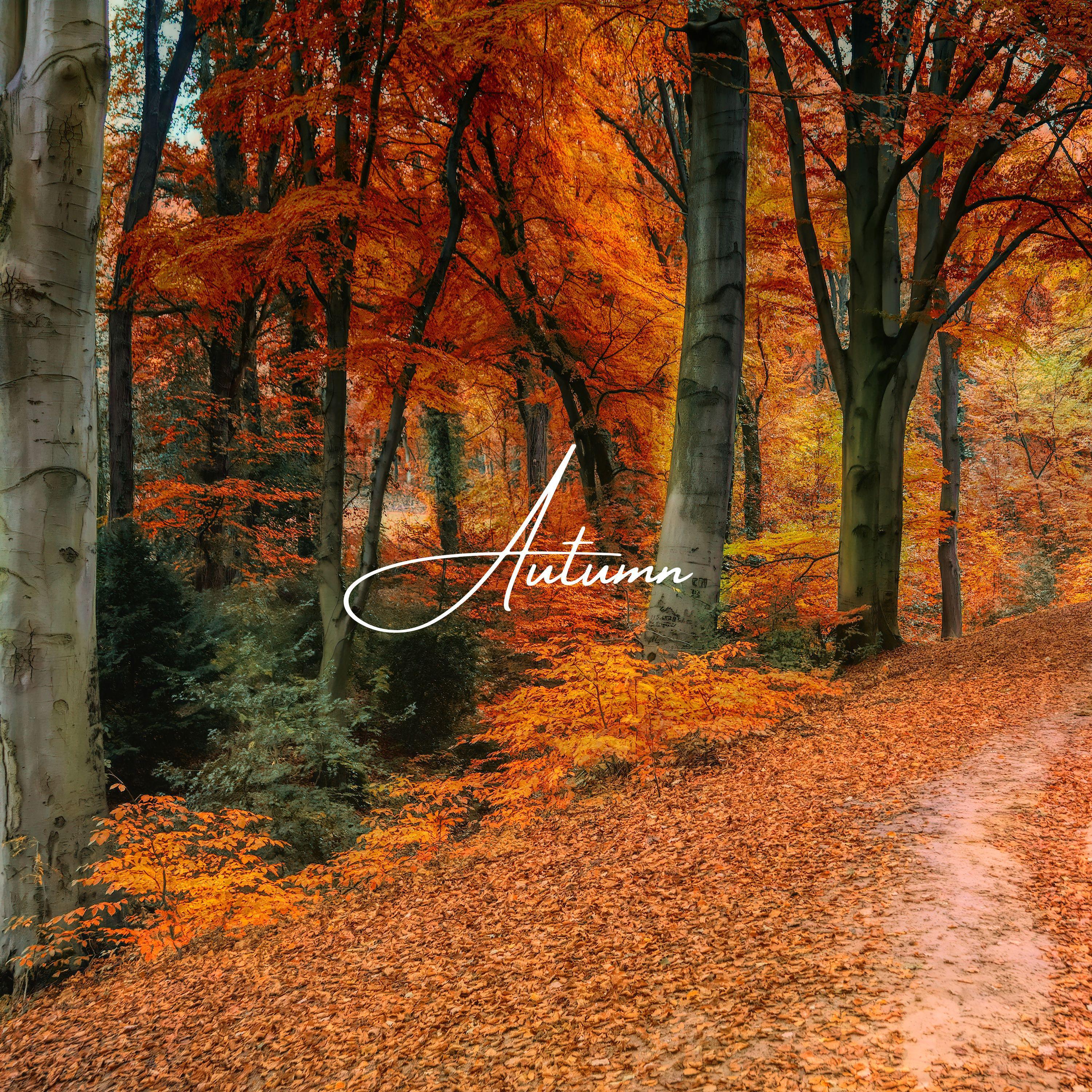 Релиз Autumn