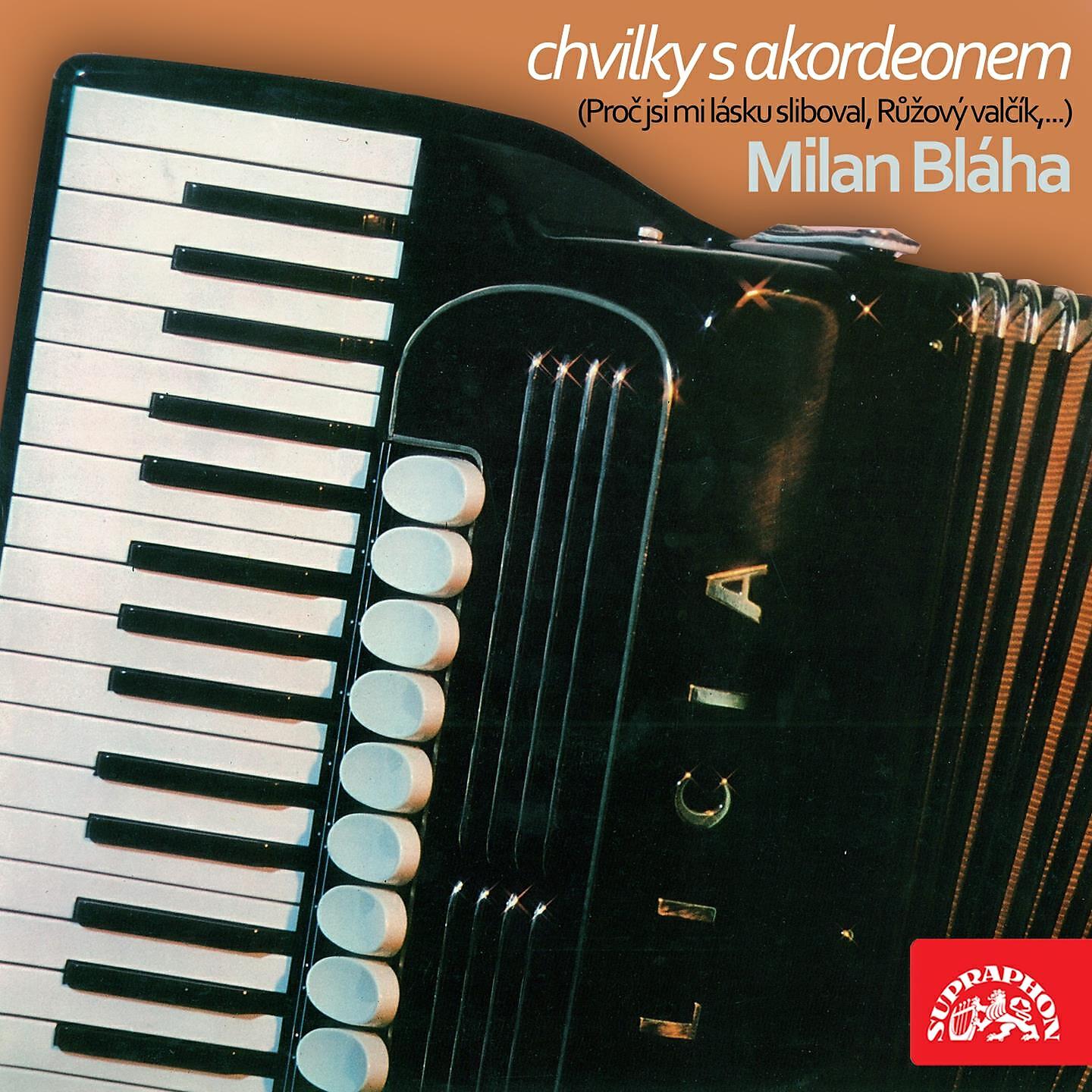 Релиз Chvilky S Akordeonem