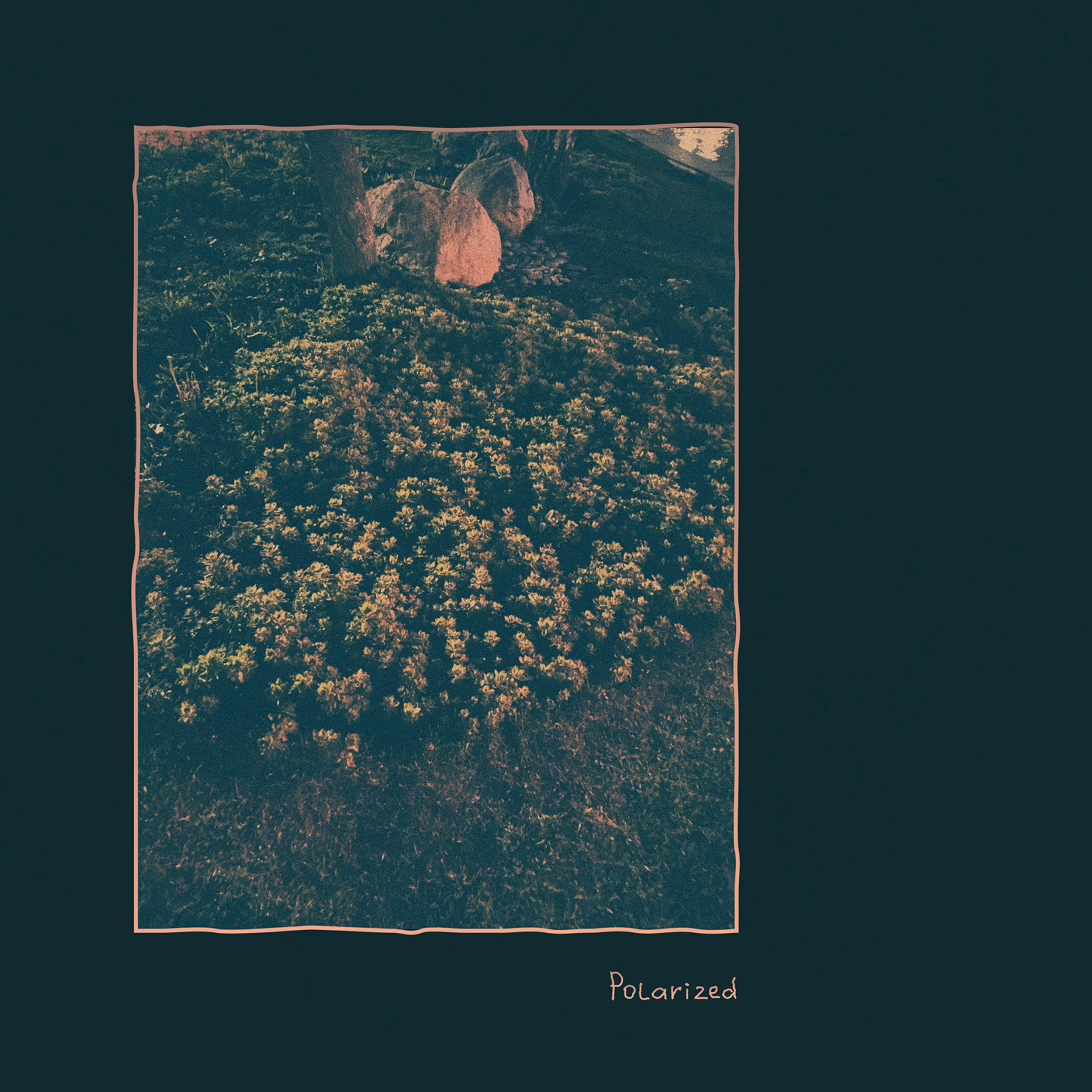 Релиз Polarized