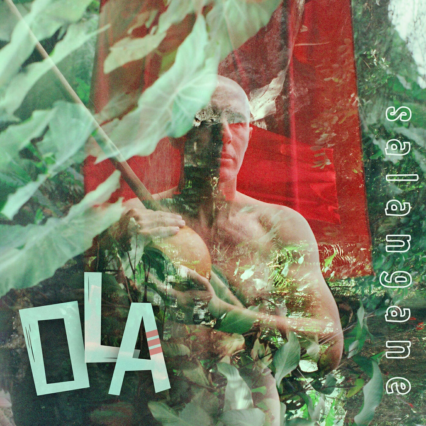 Релиз Ola