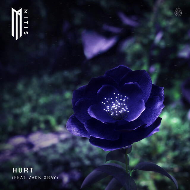 Релиз Hurt (feat. Zack Gray)