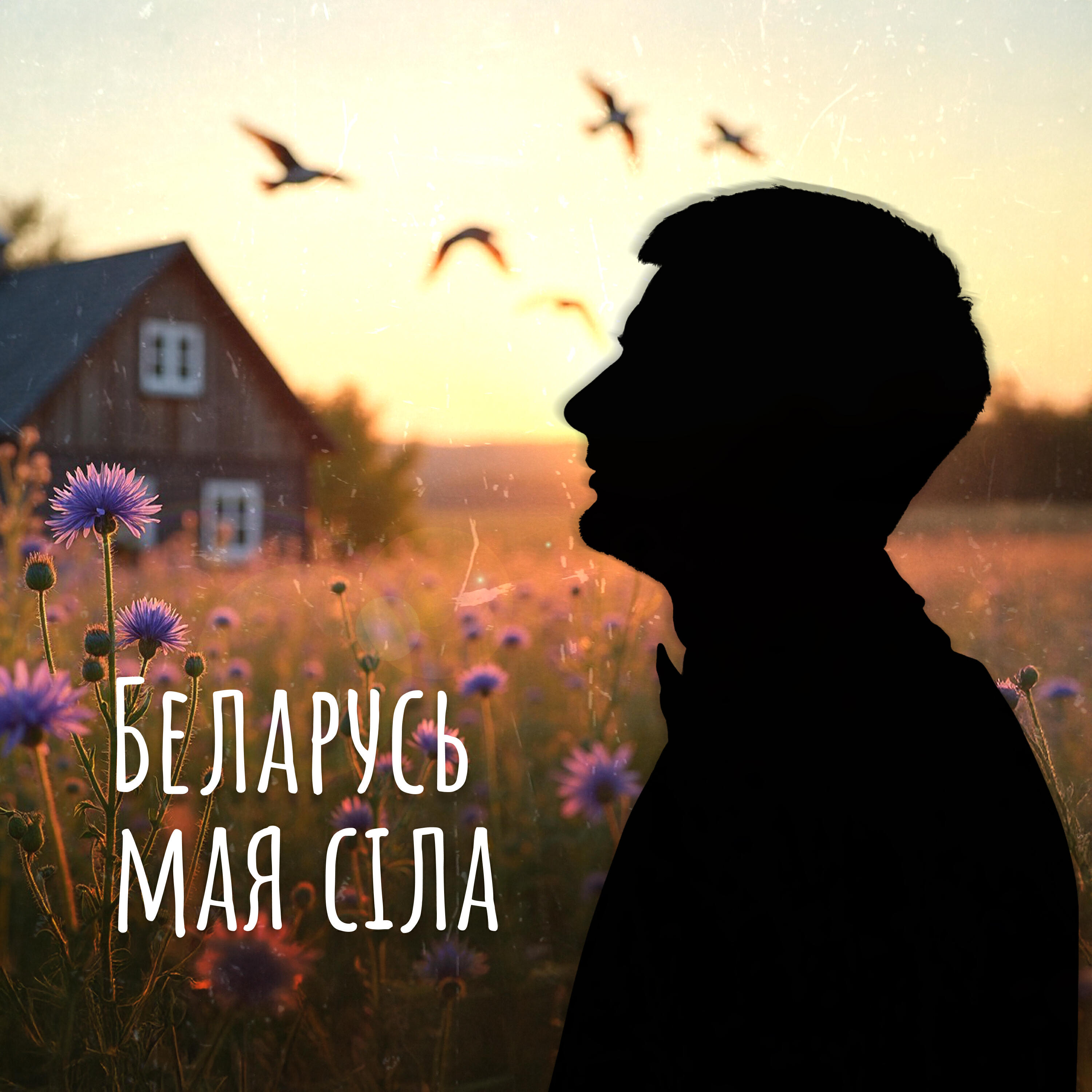 Релиз Беларусь мая сіла