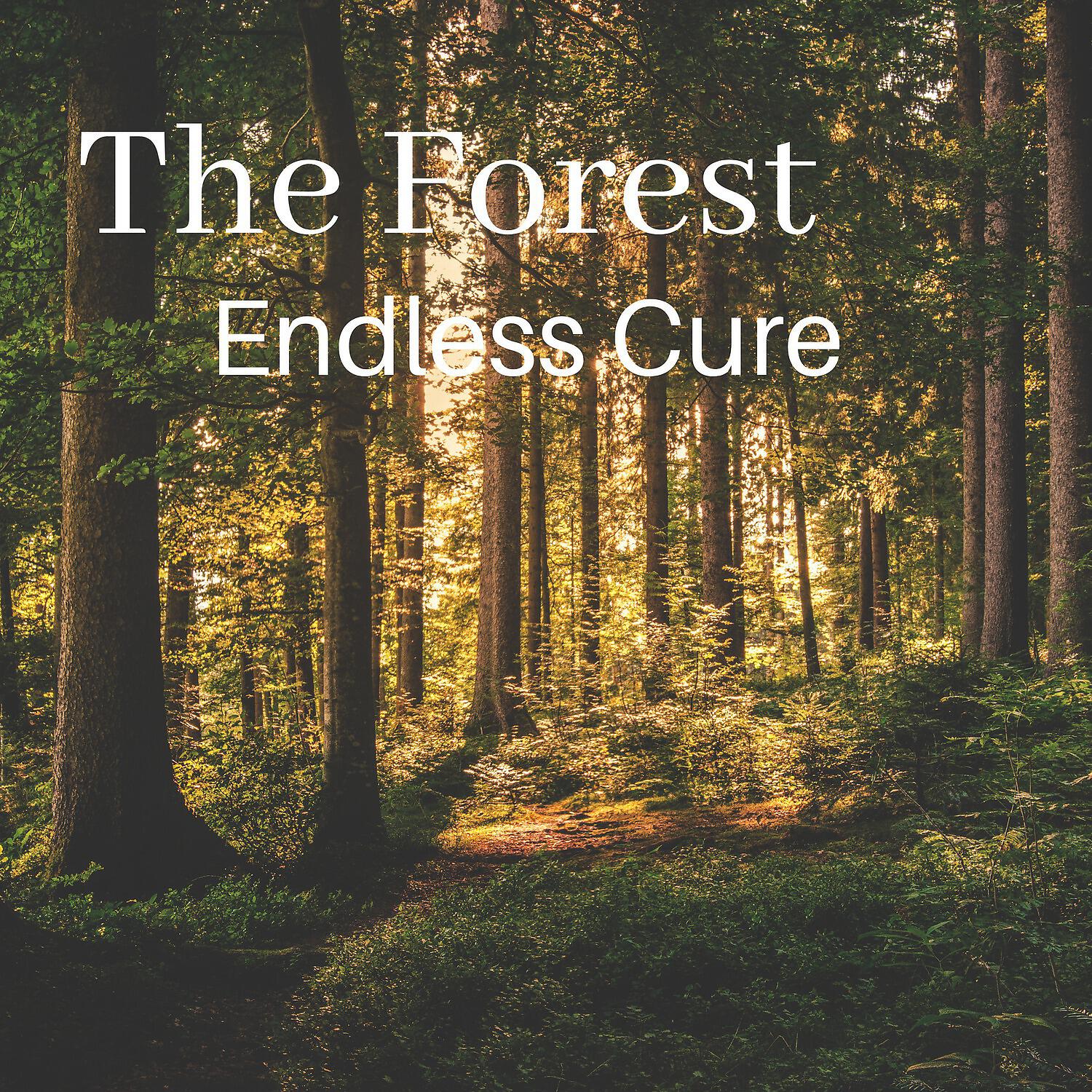 Релиз The Forest
