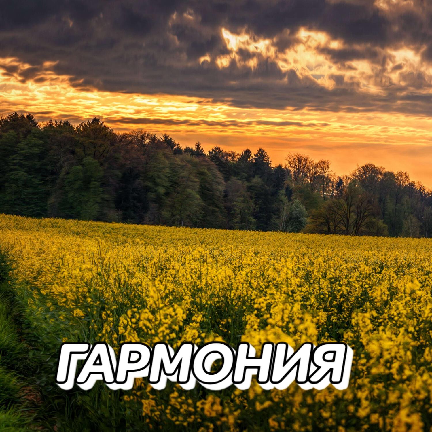 Постер альбома ГАРМОНИЯ