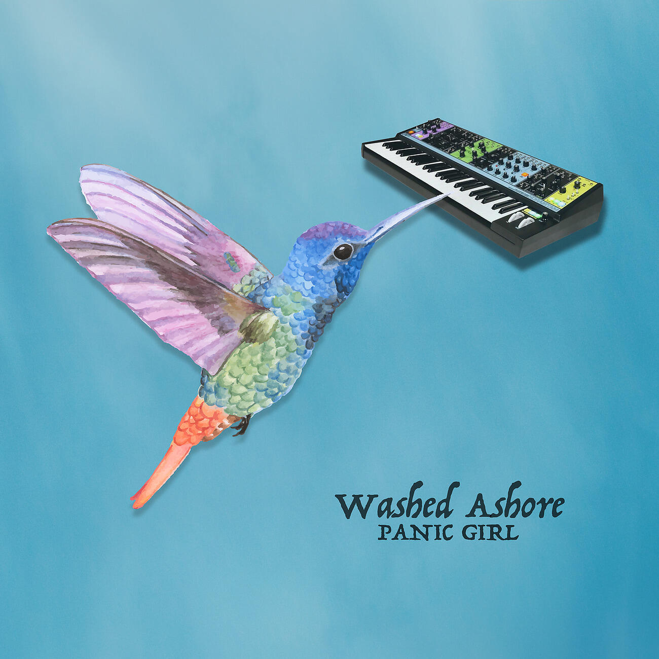Релиз Washed Ashore