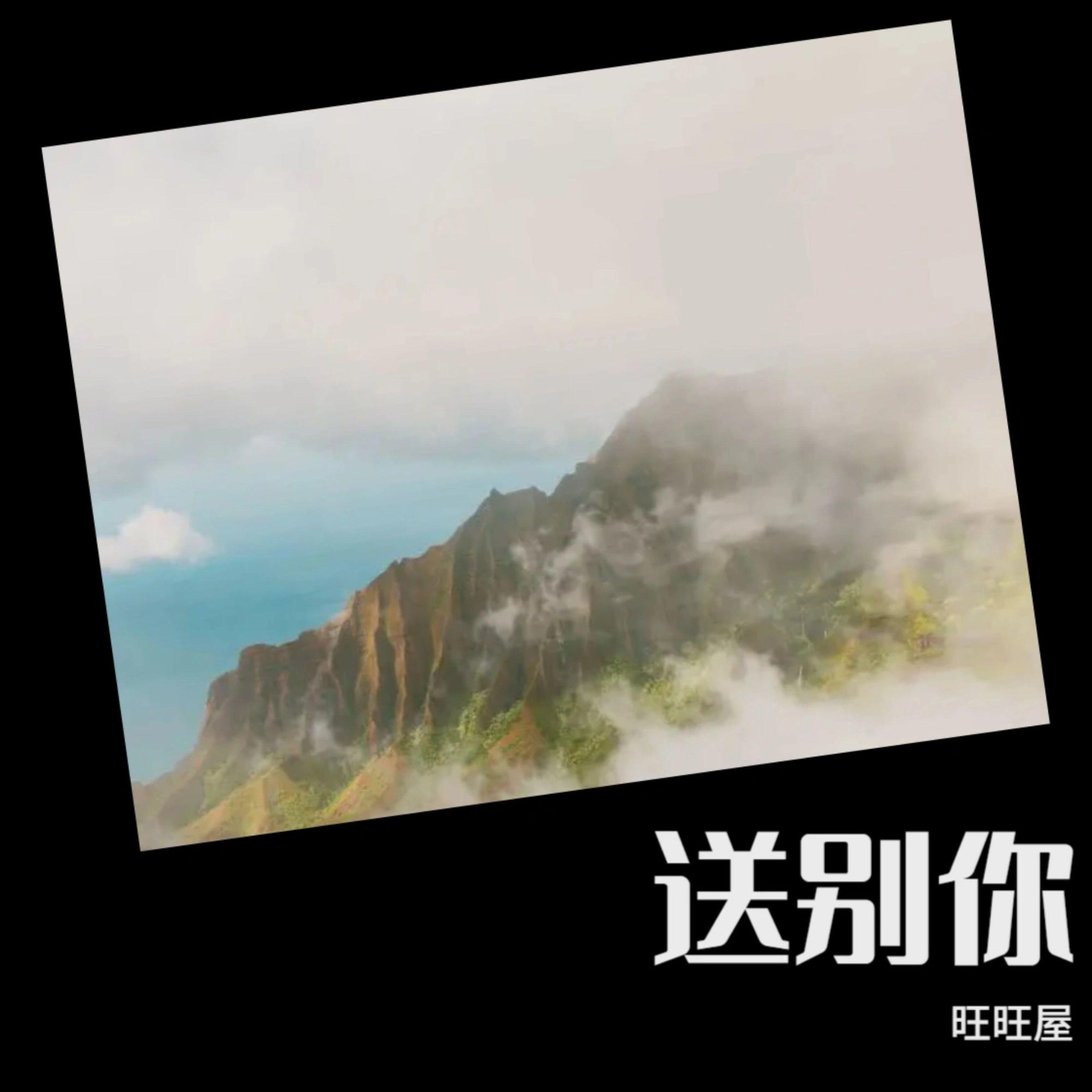 Релиз 送别你