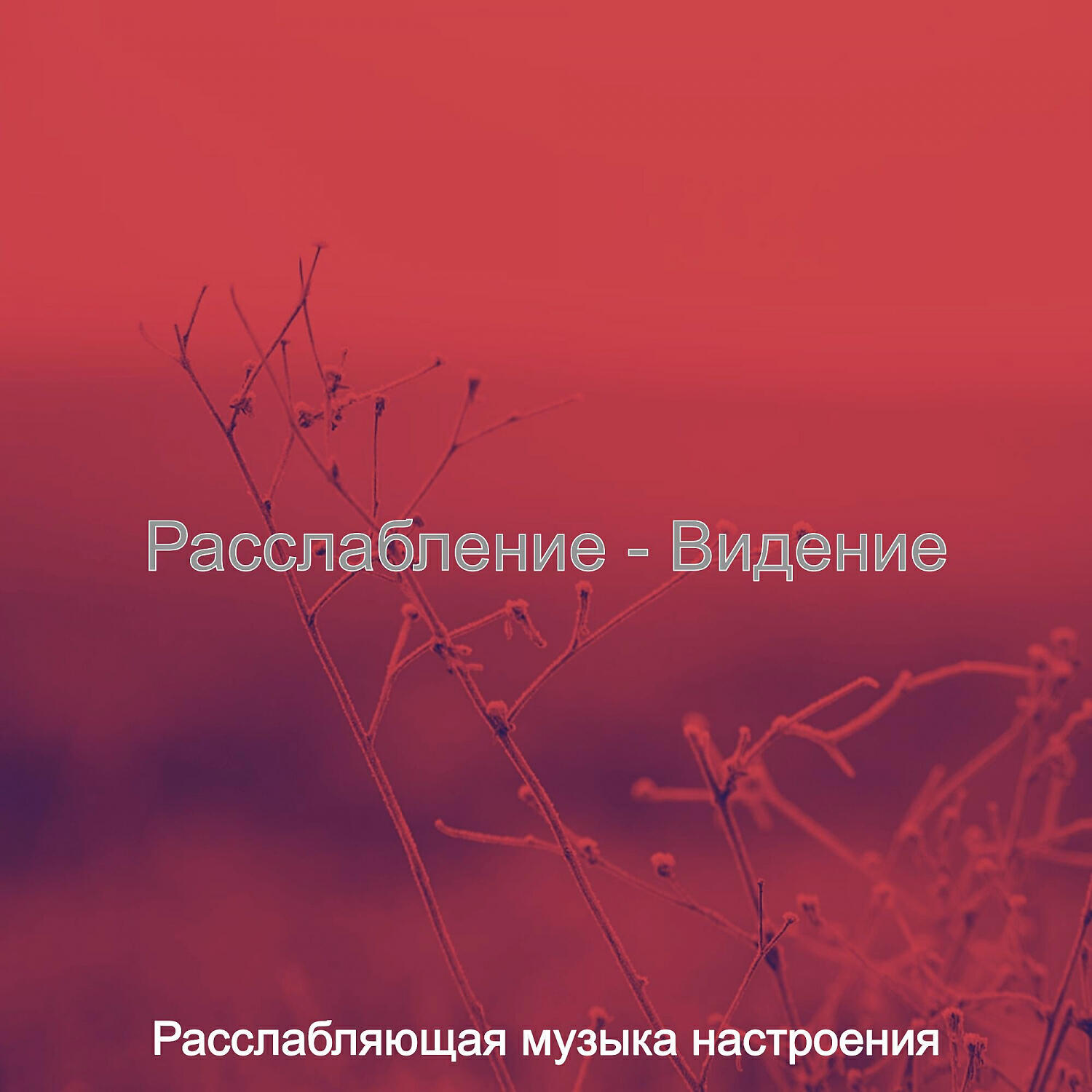 Релиз Расслабление - Видение