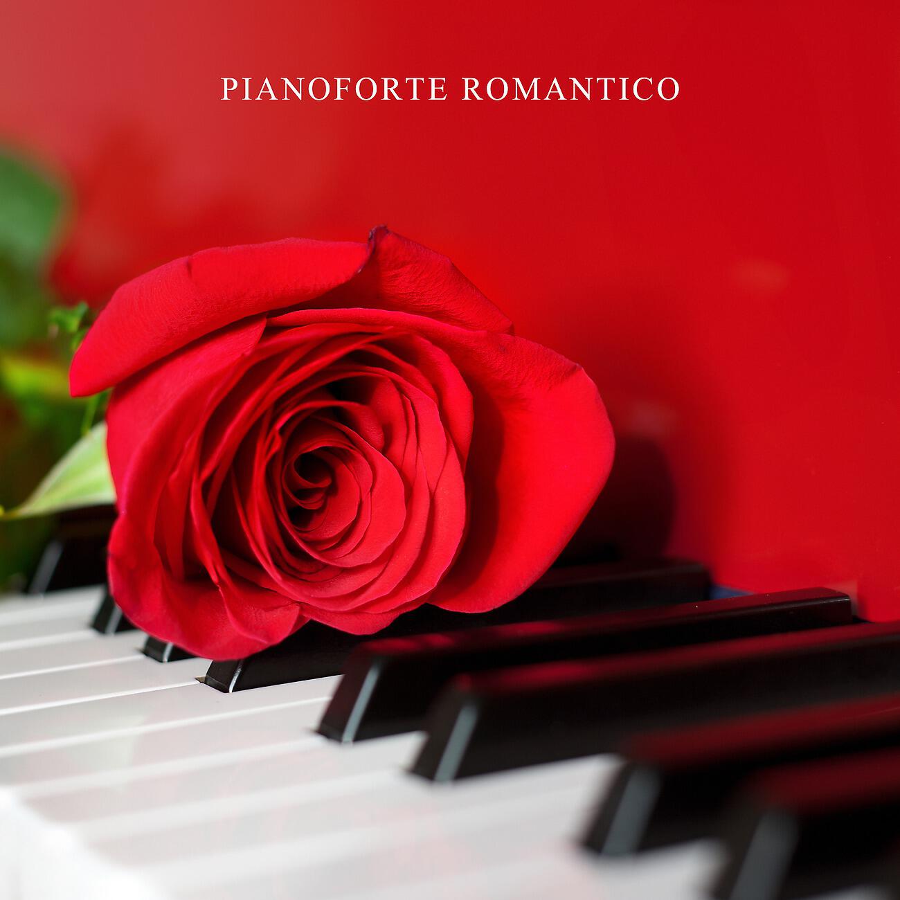 Piano Bar Collezione